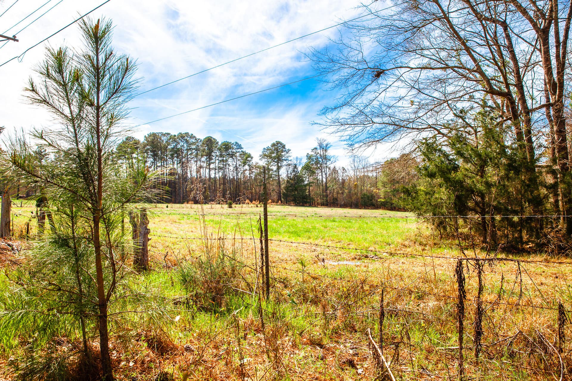 Undeveloped at 3510 4 Mistletoe Road, Appling, GA 30802, photo 4 of 7