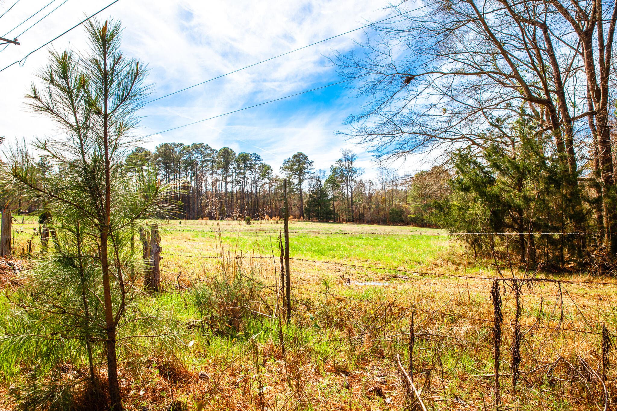 Undeveloped at 3510 4 Mistletoe Road, Appling, GA 30802, photo 4 of 7