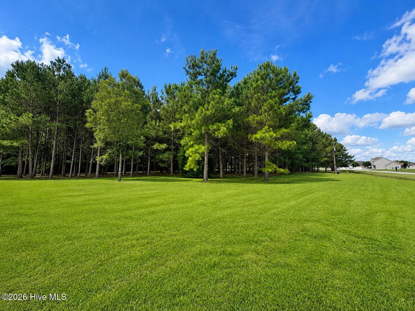 Residential Lot at 28 Bunn Road, Kenly, NC 27542, photo 9 of 11