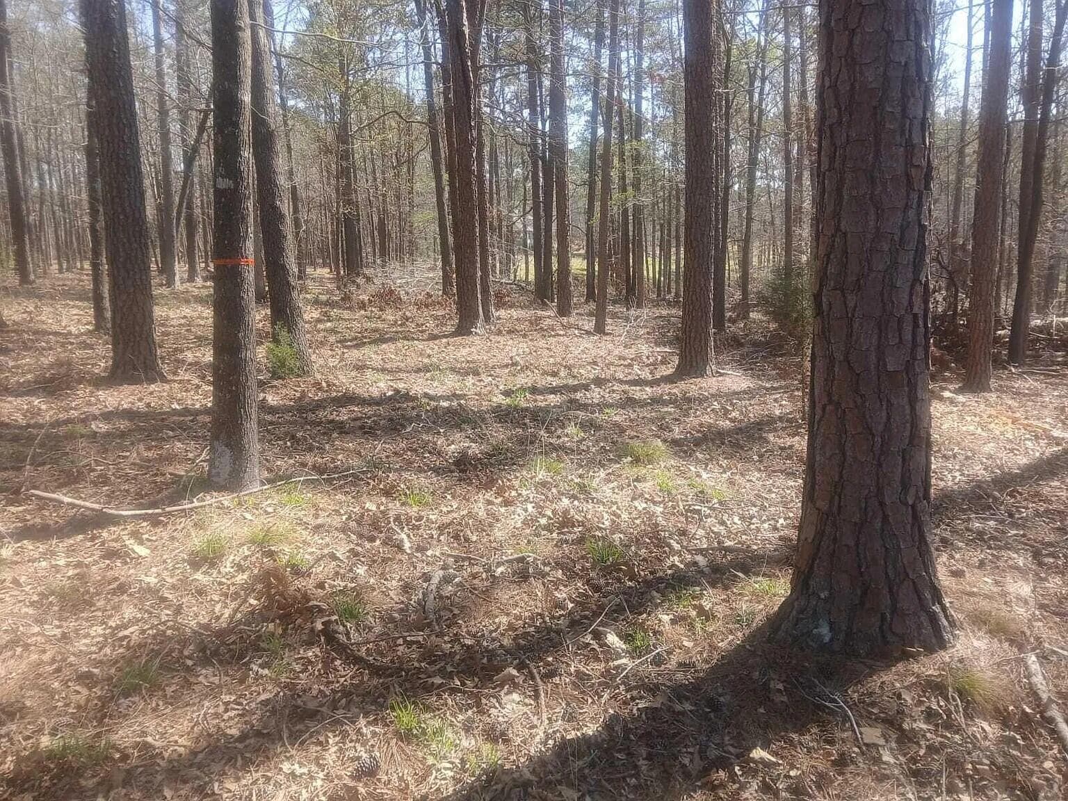 Residential Lot at 19 Belfast Court, North Augusta, SC 29860, photo 4 of 7