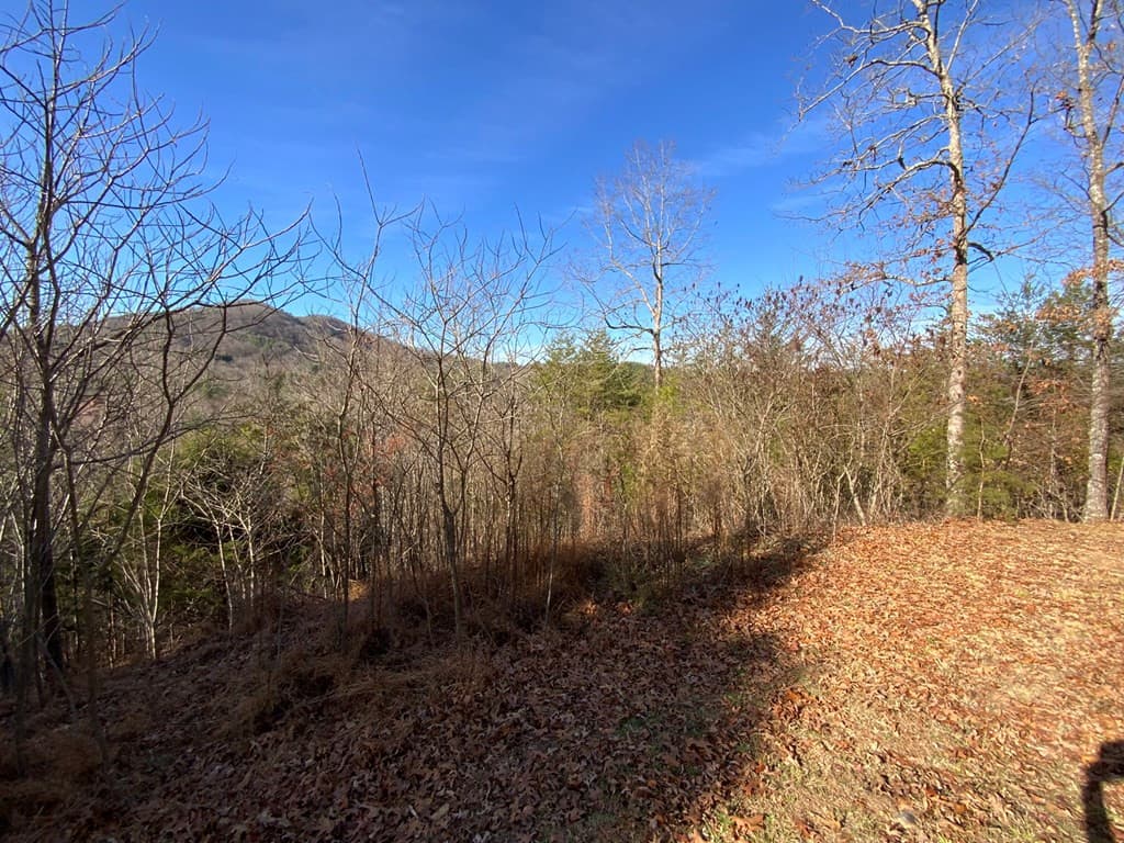 Land at 00 Brasstown View, Murphy, NC 28906, photo 2 of 12