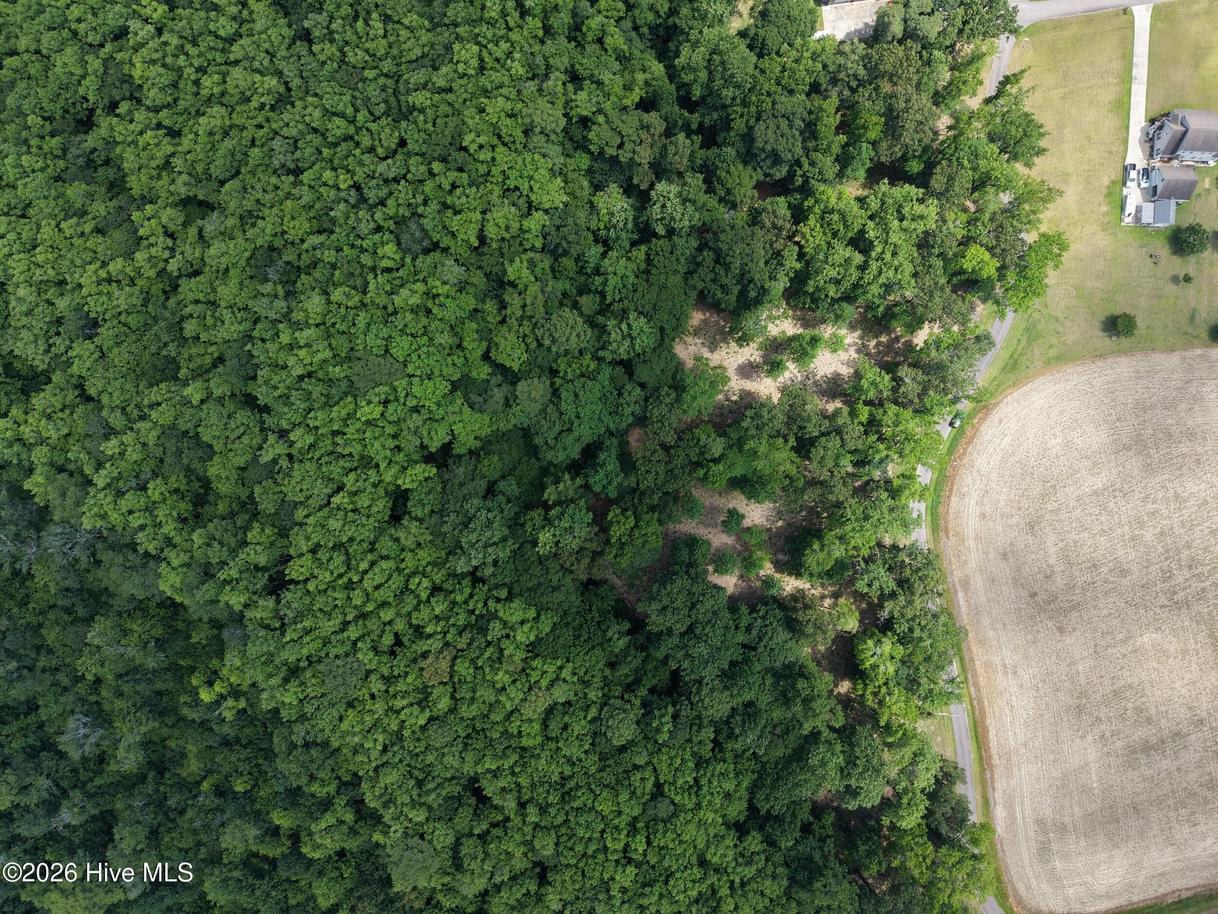 Residential Lot at 462 Batchelor Bay Drive, Windsor, NC 27983, photo 5 of 13