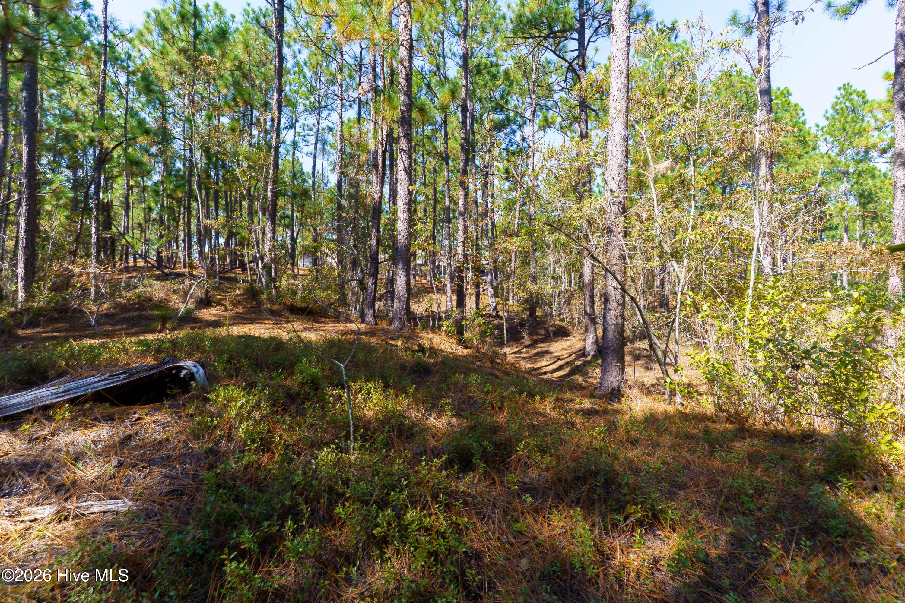 Residential Lot at 134 Vanore Road, West End, NC 27376, photo 3 of 4