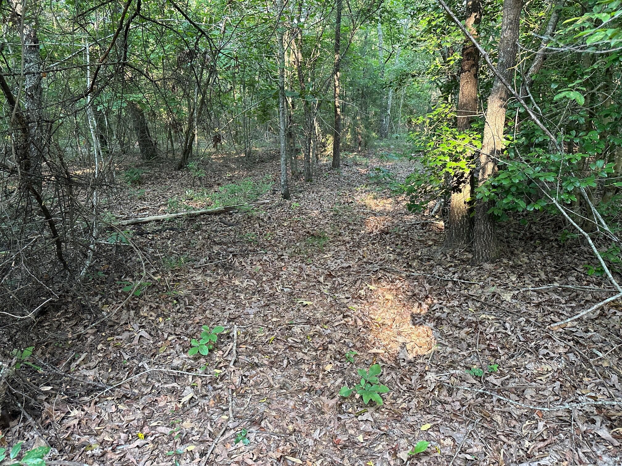 Undeveloped at 2576 Jessie James Pond Road, Wrens, GA 30833, photo 36 of 56