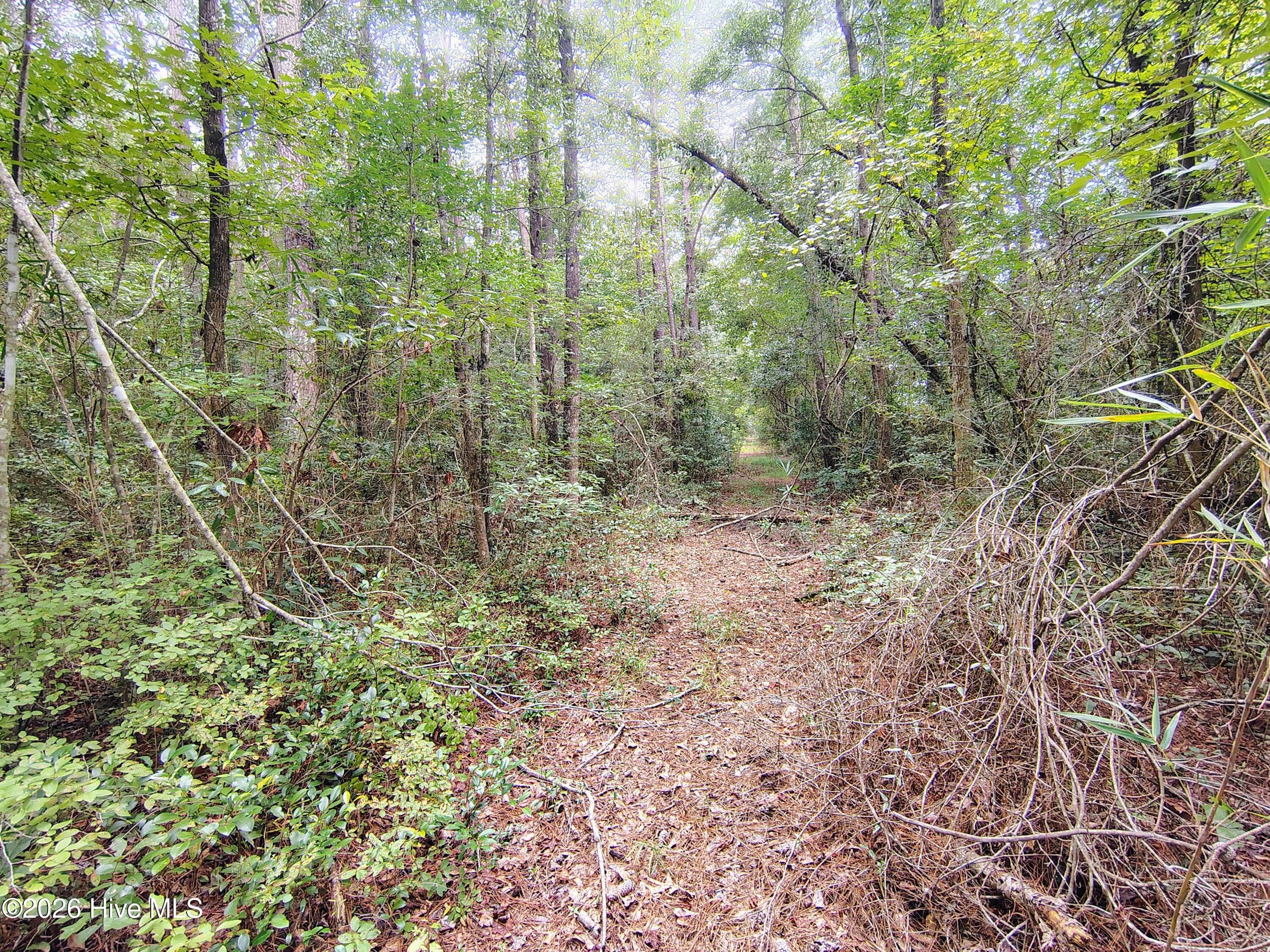 Lot 45 45 Near 519 Deer Lane, Tabor City, NC 28463