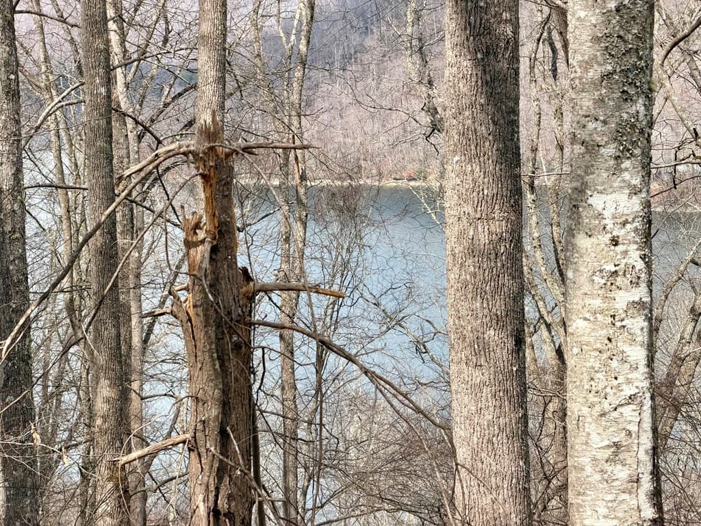 Residential Lot at Lot #12 12 Lake Vista Circle, Topton, NC 28781, photo 5 of 8