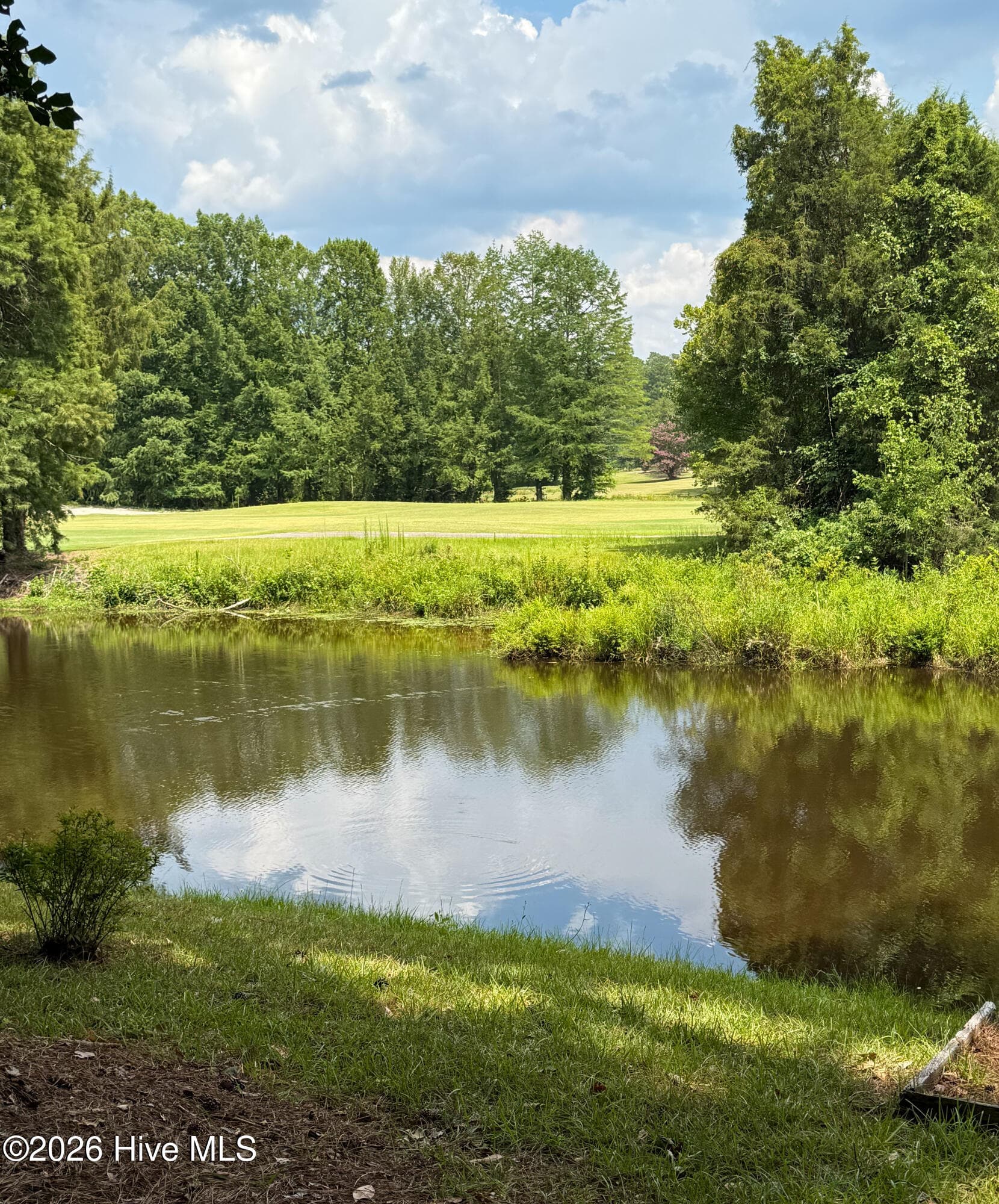 Single Family Residence at 2 Little River Lane, Whispering Pines, NC 28327, Whispering Pines, photo 11 of 56