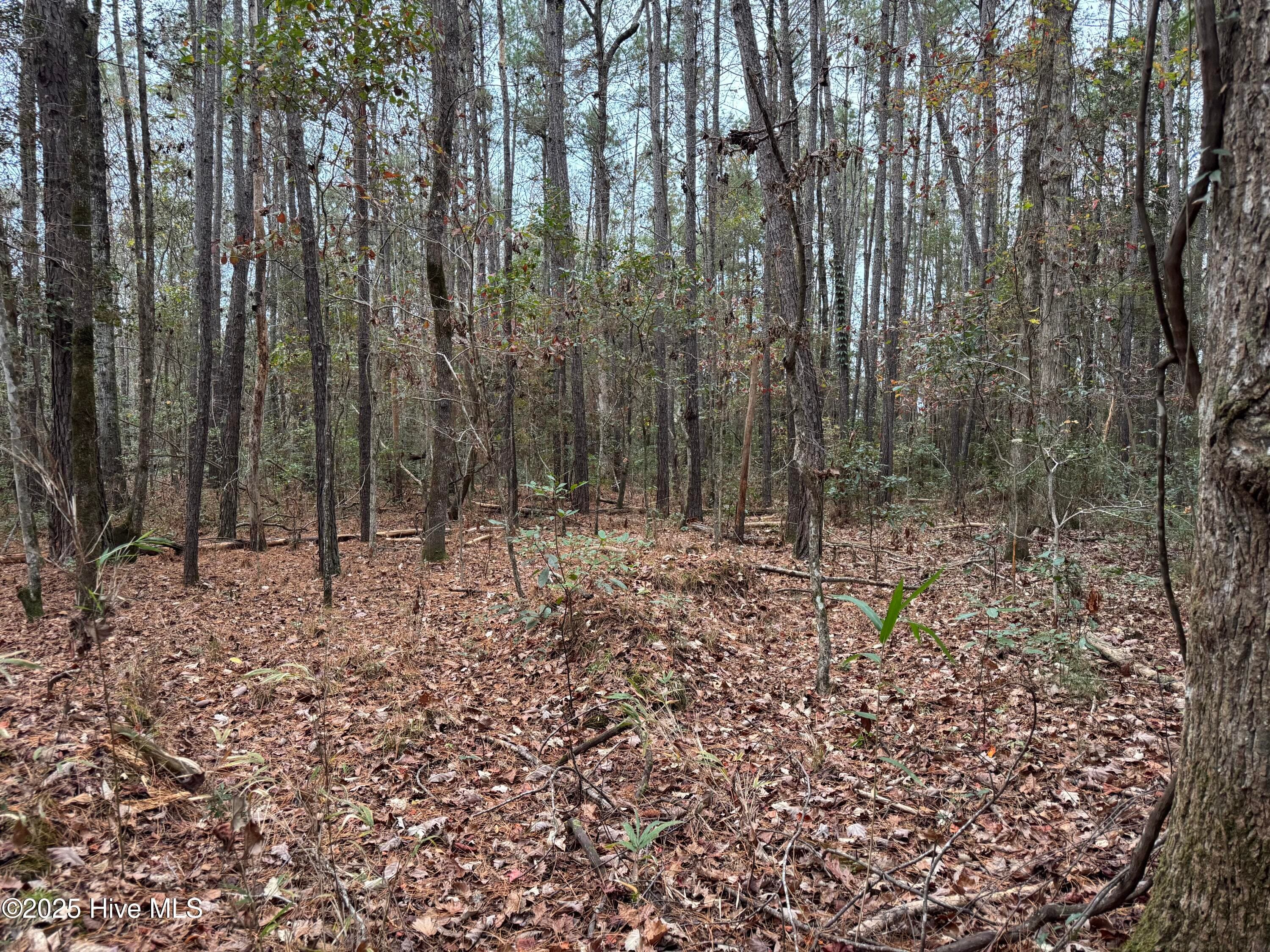 0 Near 715 Nc Hwy 133, Rocky Point, NC 28457