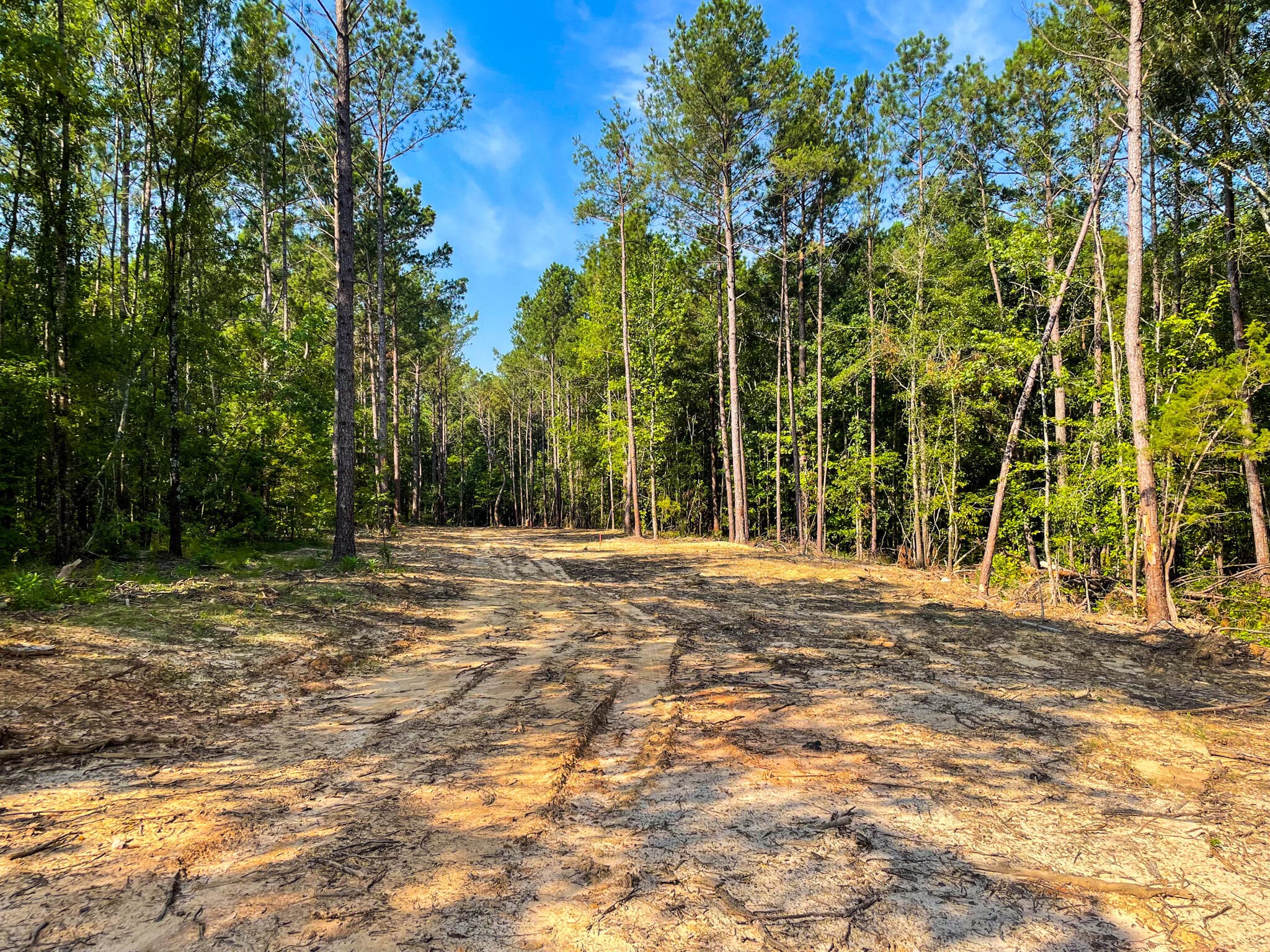 Undeveloped at 0 Backway Road, Lincolnton, GA 30817, photo 6 of 48