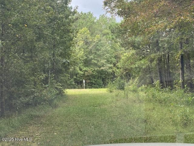 Residential Lot at 8 Pine Crest Road, Bath, NC 27808, photo 9 of 9