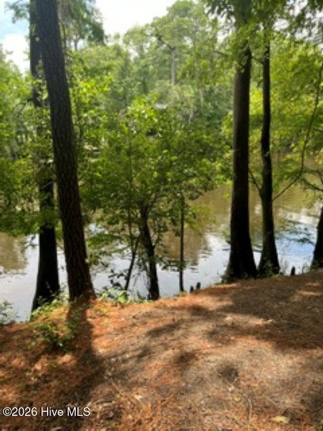 Lot 13 Riverview Drive, Burgaw, NC 28425