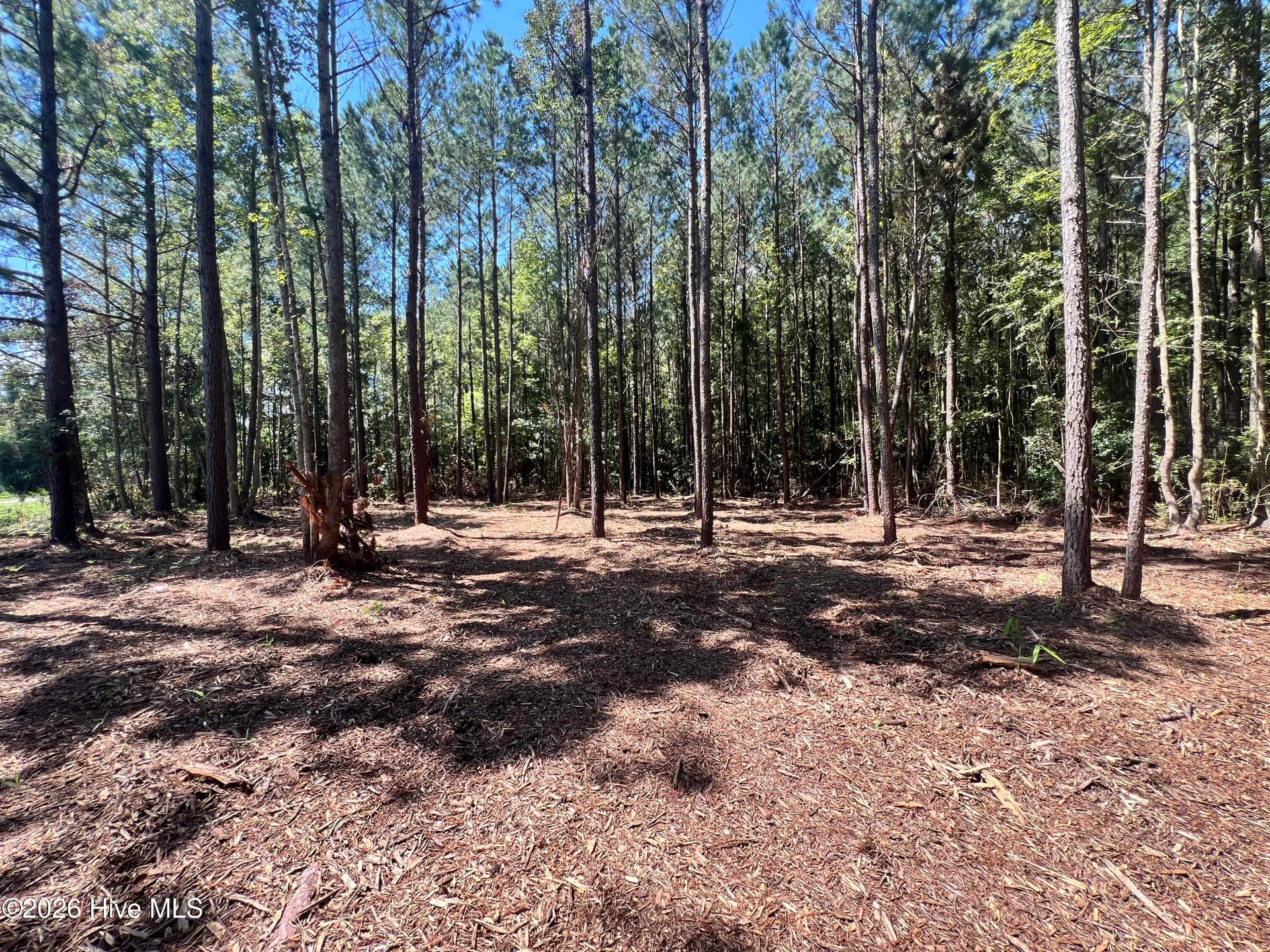 Residential Lot at Lot 1 Elm Street, Belhaven, NC 27810, photo 4 of 8