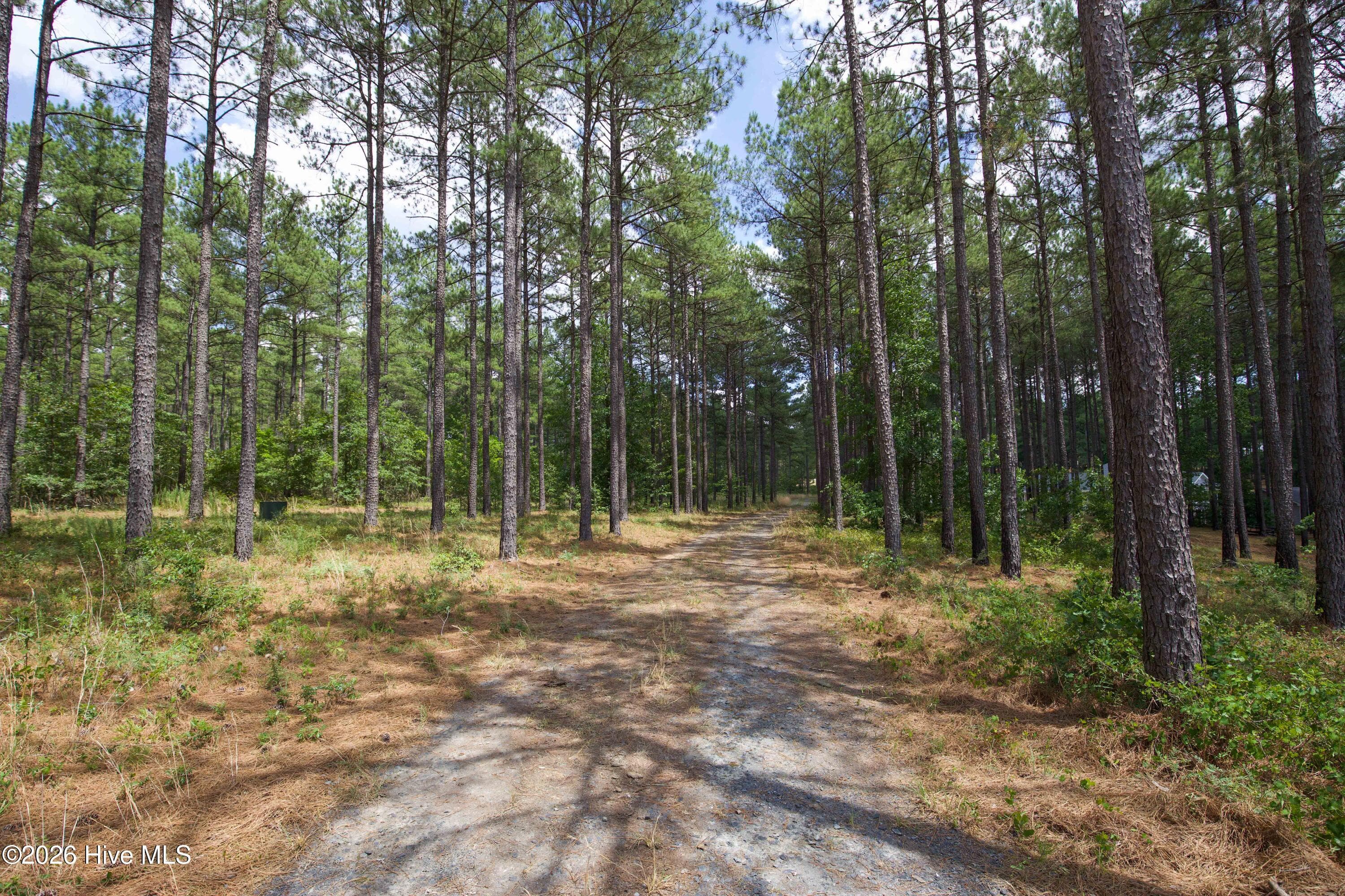 Horse Farm at 220 44B Justin Way, Foxfire Village, NC 27281, photo 11 of 69