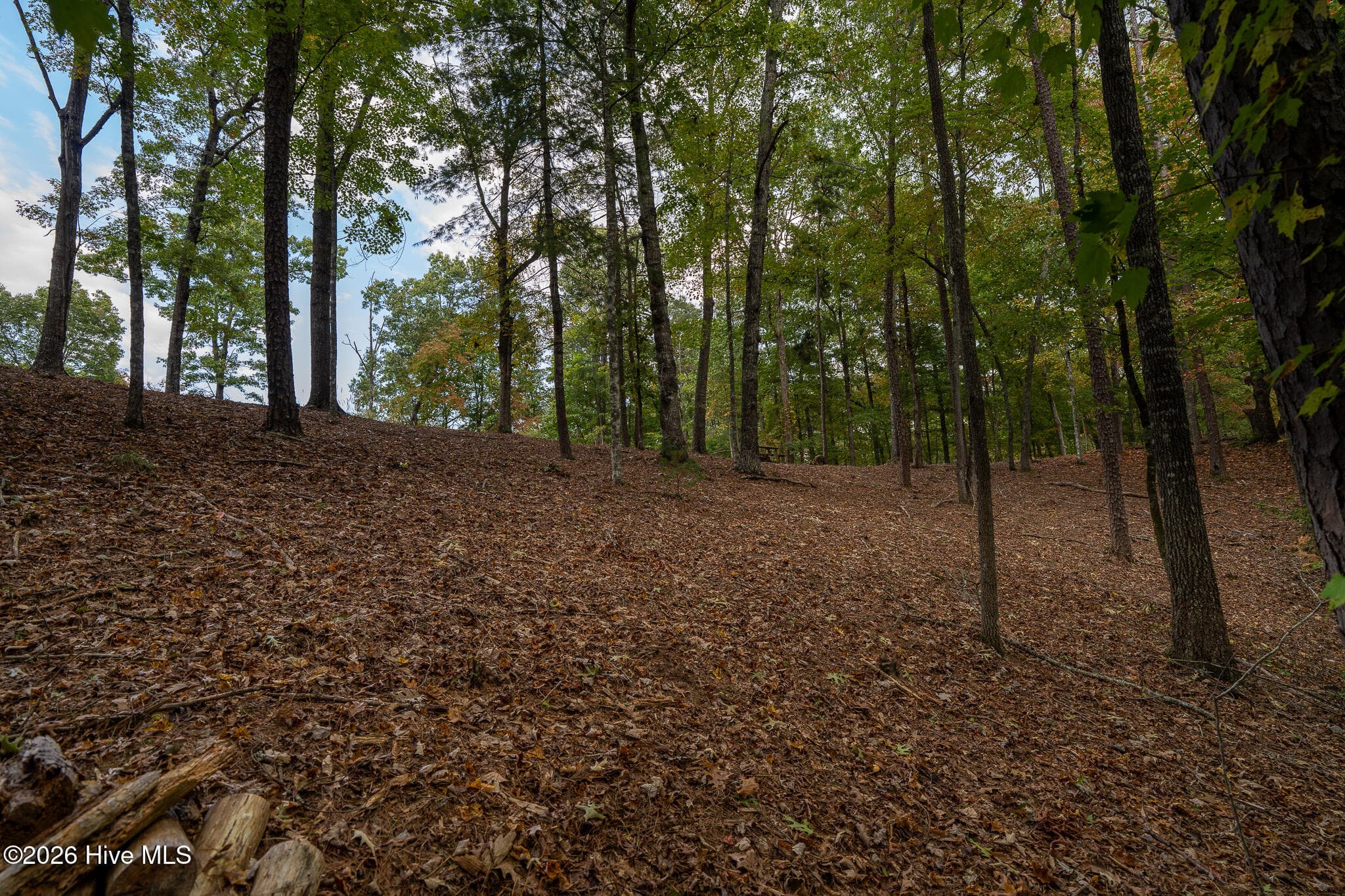 Wooded at Lot 22 Morris Ridge Drive, Murphy, NC 28906, photo 19 of 23