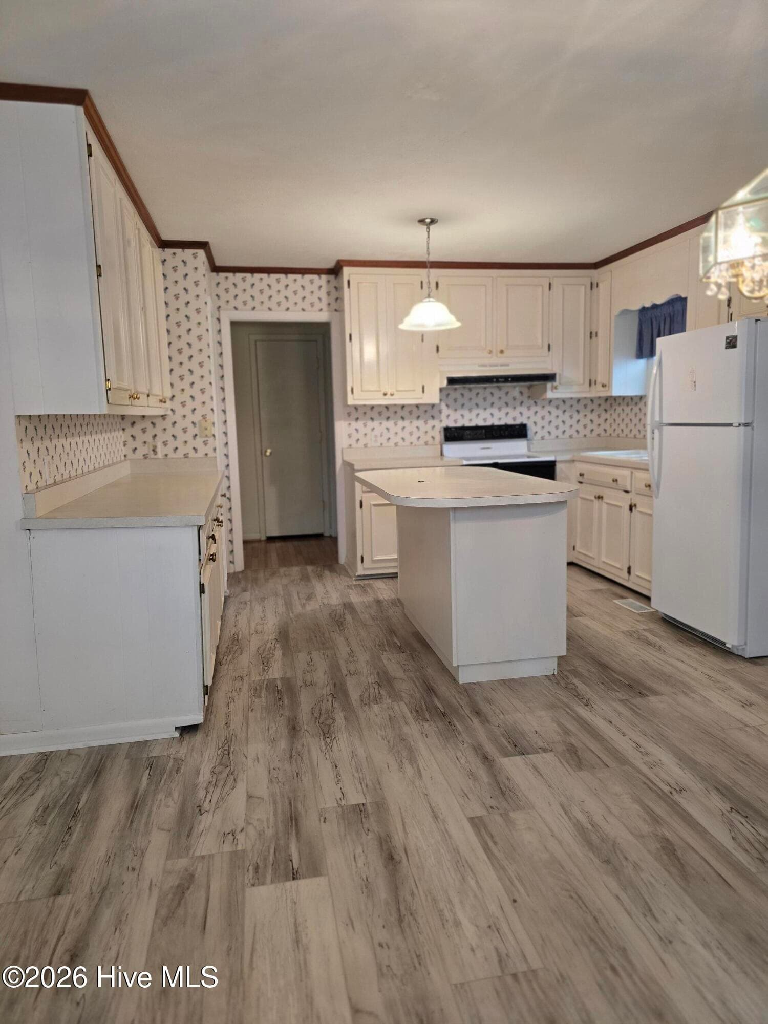 Single Family Residence at 214 E Bladen Street, Bladenboro, NC 28320, photo 19 of 67