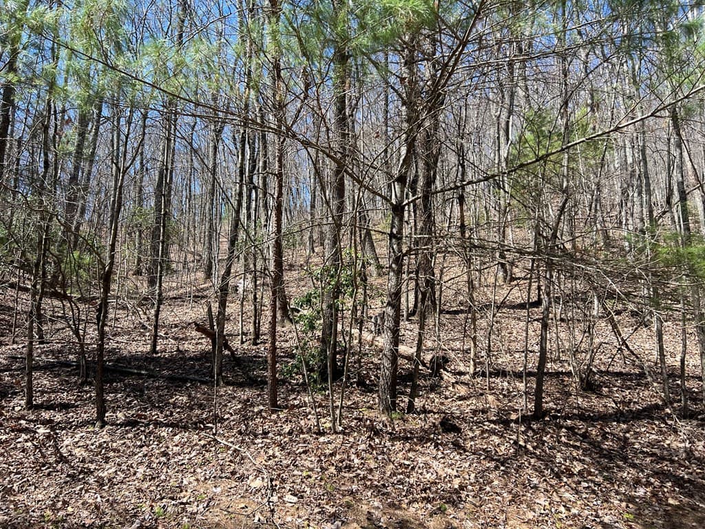 Residential Lot at Lots High View Rd Wolf Mountain Estates, Murphy, NC 28906, photo 10 of 18