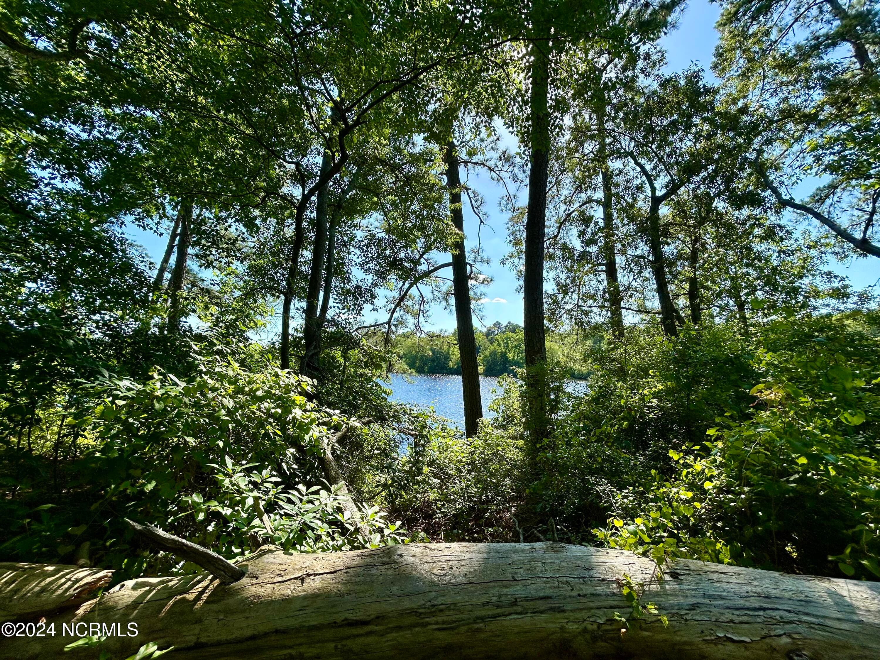 Residential Lot at 112 10 American Legion Road, Rockingham, NC 28379, photo 10 of 15