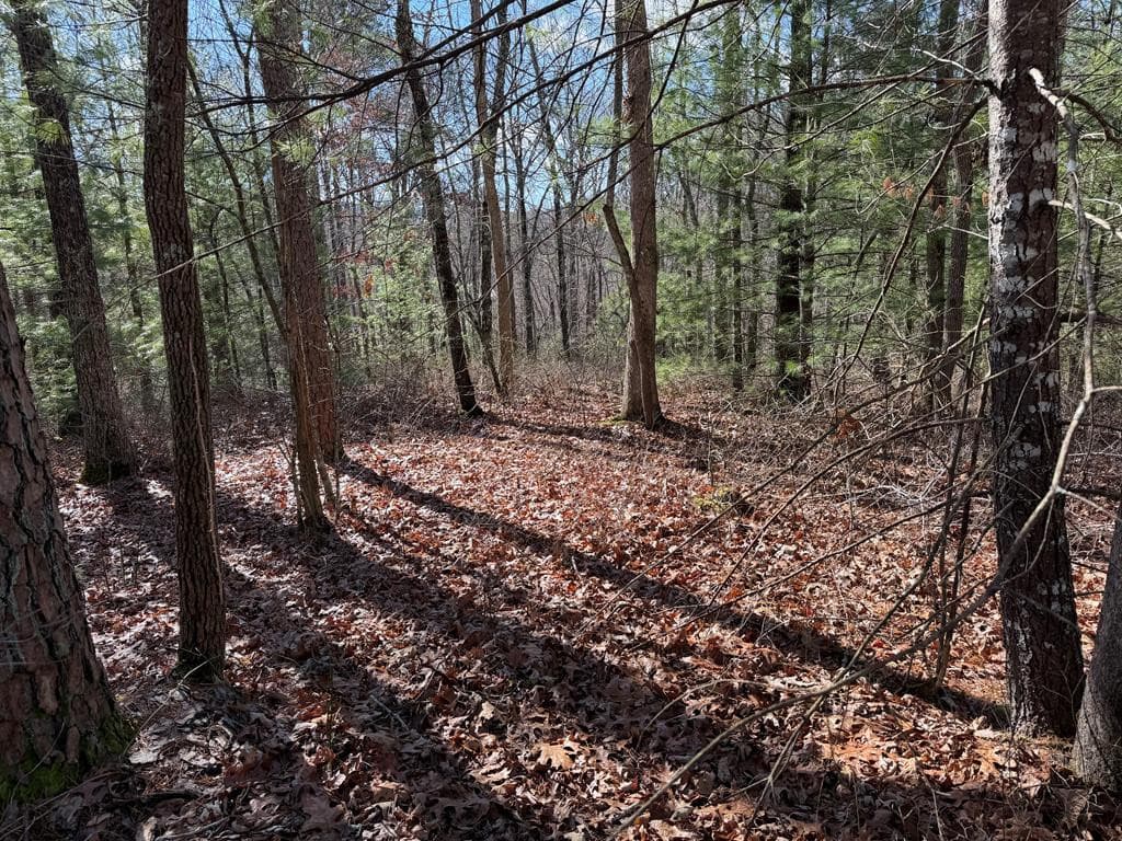 Land at Lot #20 20 Yellow Maple Drive, Murphy, NC 28906, photo 3 of 14