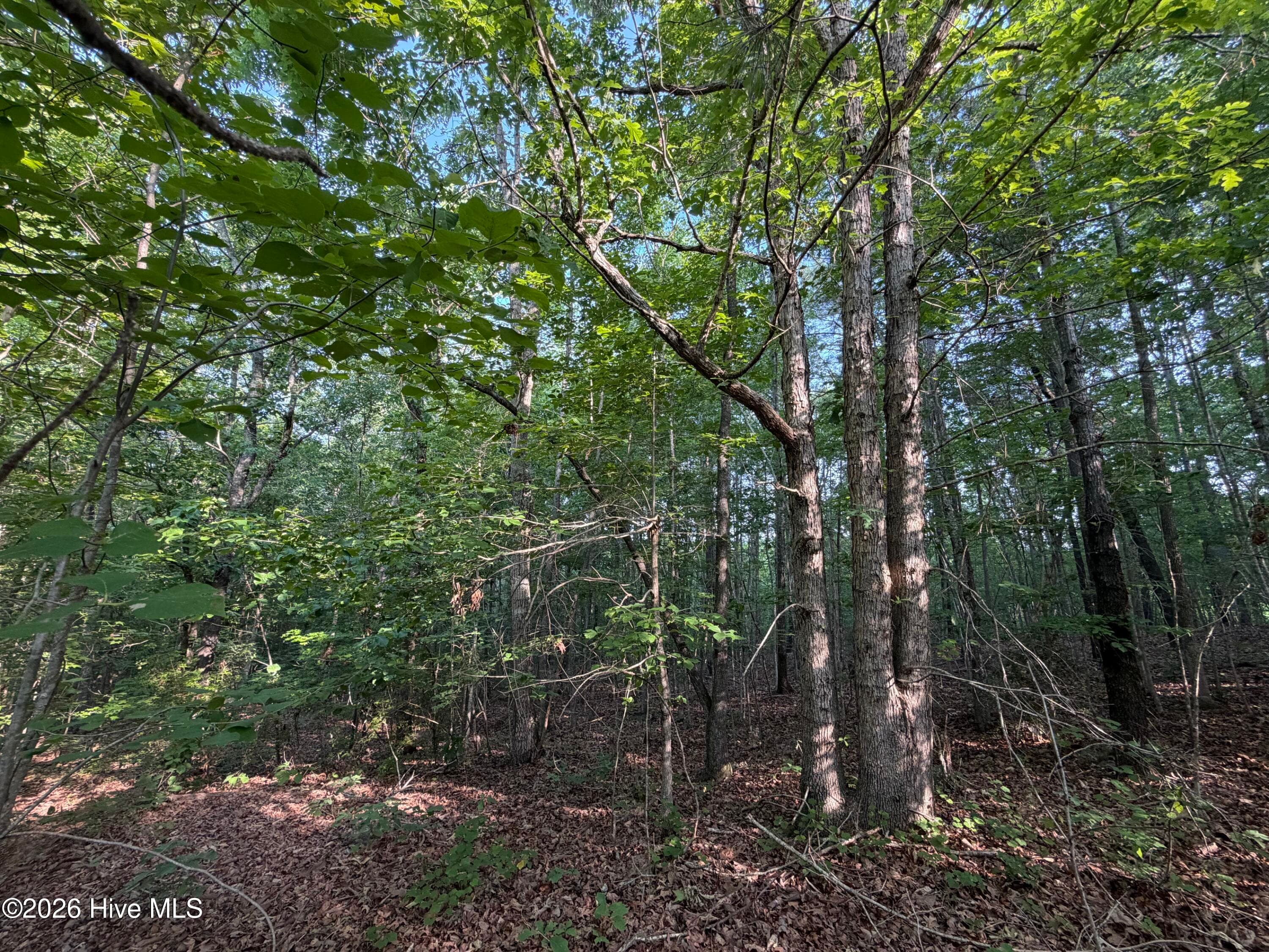 Wooded at 150 28 Watsons Way, Rockingham, NC 28379, photo 3 of 7