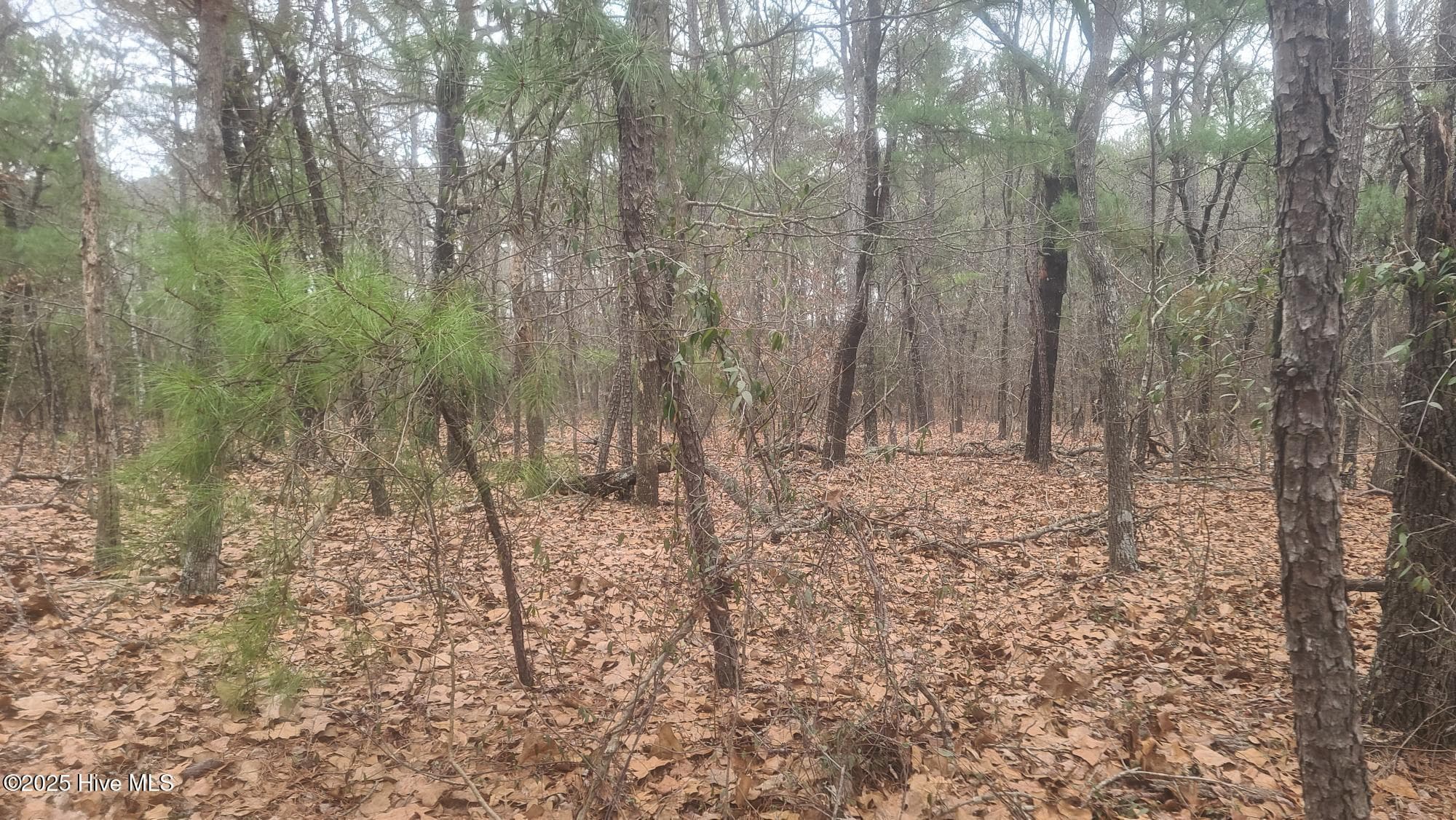 Tbd Union Church Road, Carthage, NC 28327