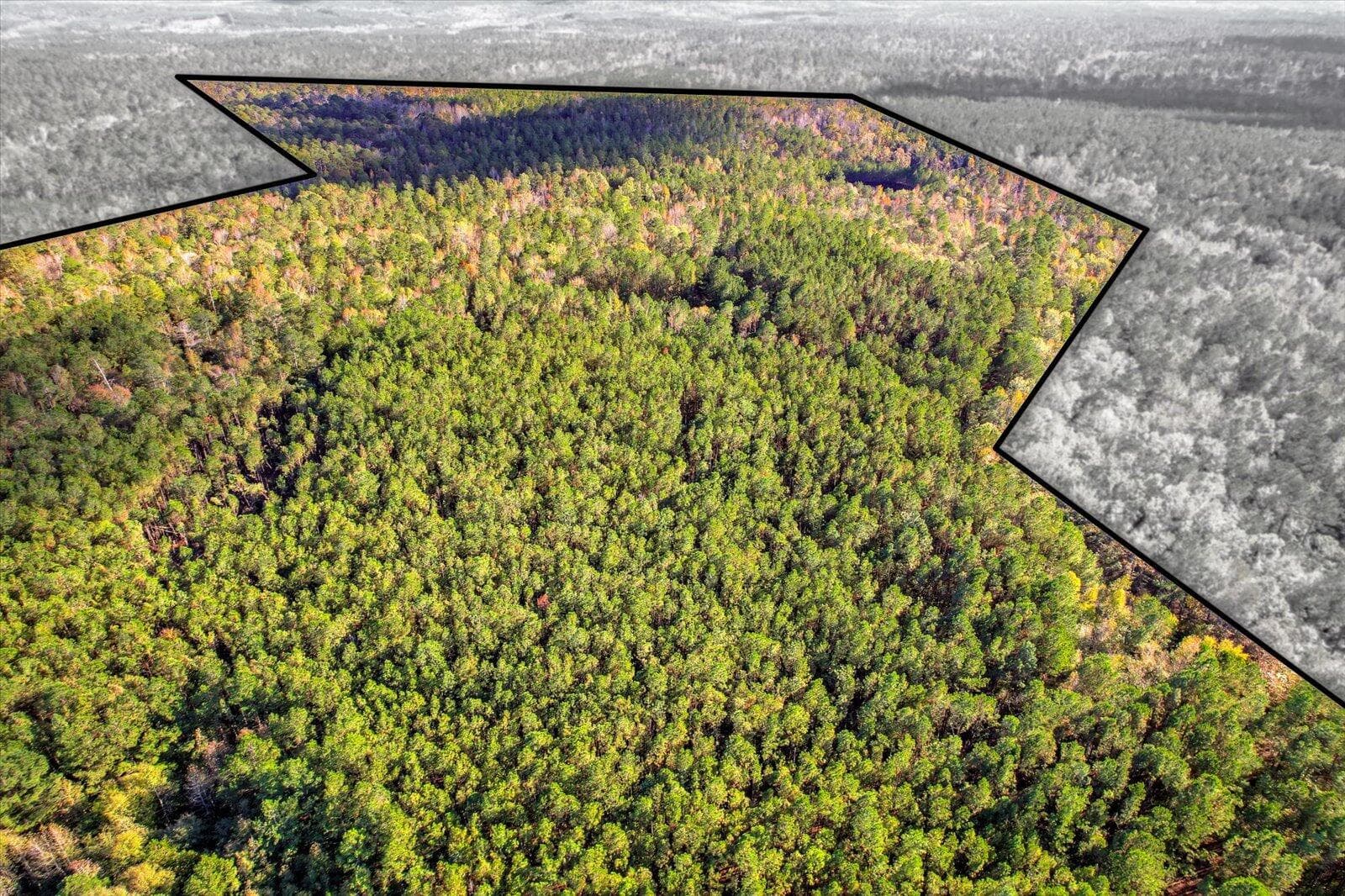 Undeveloped at Tbd2 Sc-23, Edgefield, SC 29824, photo 2 of 41