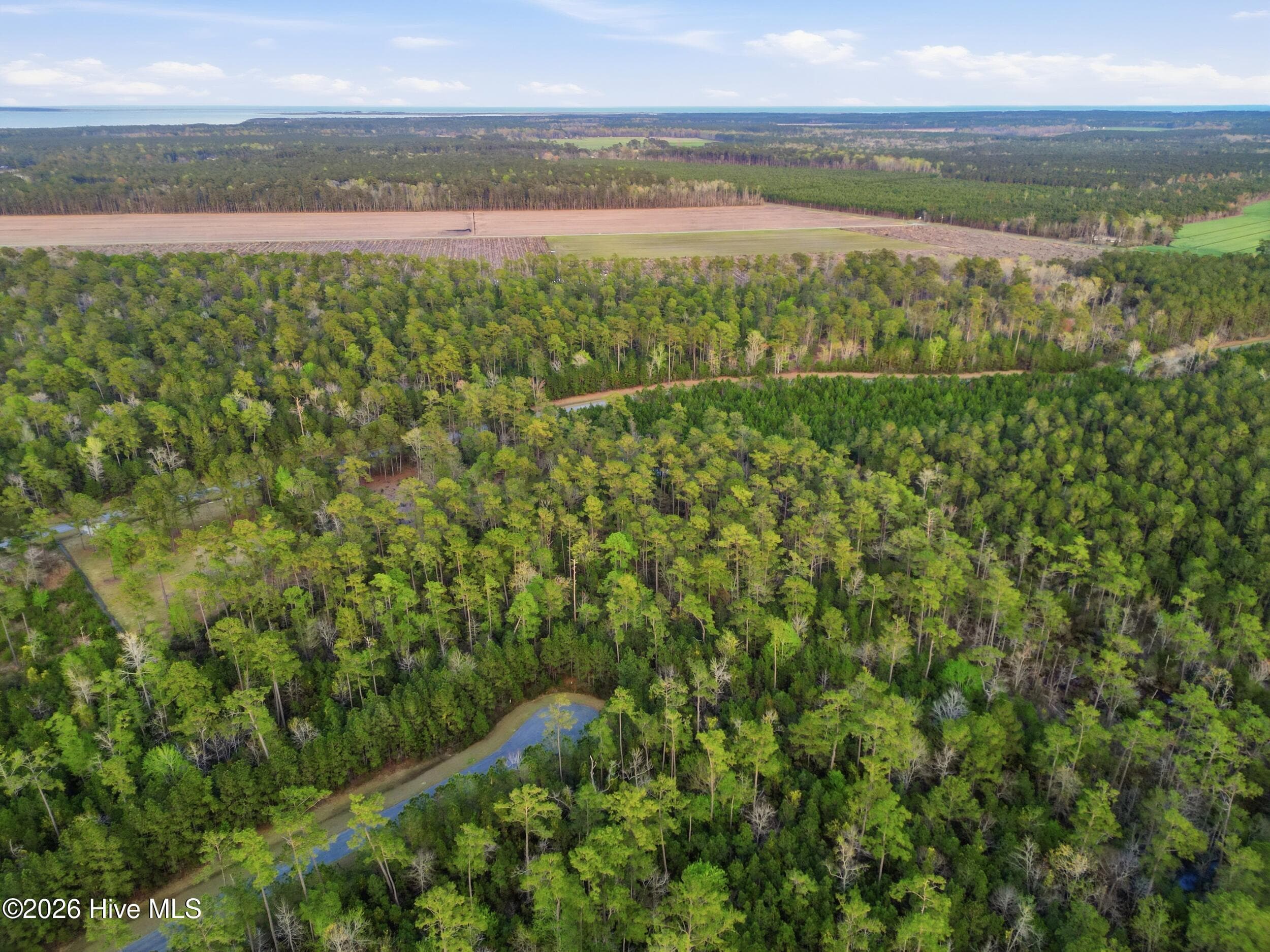 Residential Lot at 121 Mason Lane, Merritt, NC 28556, photo 6 of 13