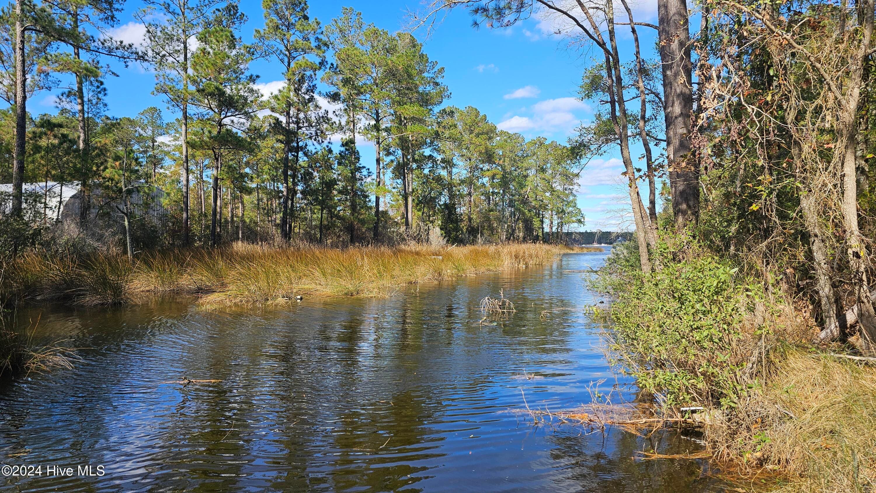 0 Barnes Foster Loop Road, Belhaven, NC 27810
