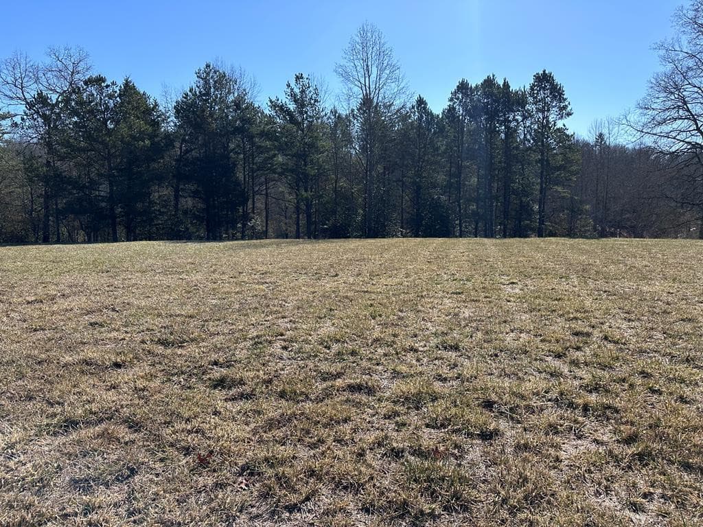 Residential Lot at 38 Holly Point Drive, Murphy, NC 28906, photo 7 of 16