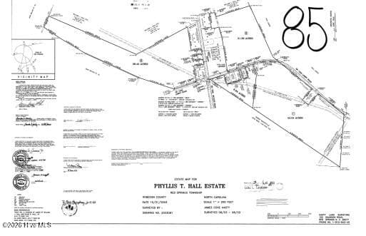 Undeveloped at Tbd Old Lowery Rd, Red Springs, NC 28377, photo 3 of 3