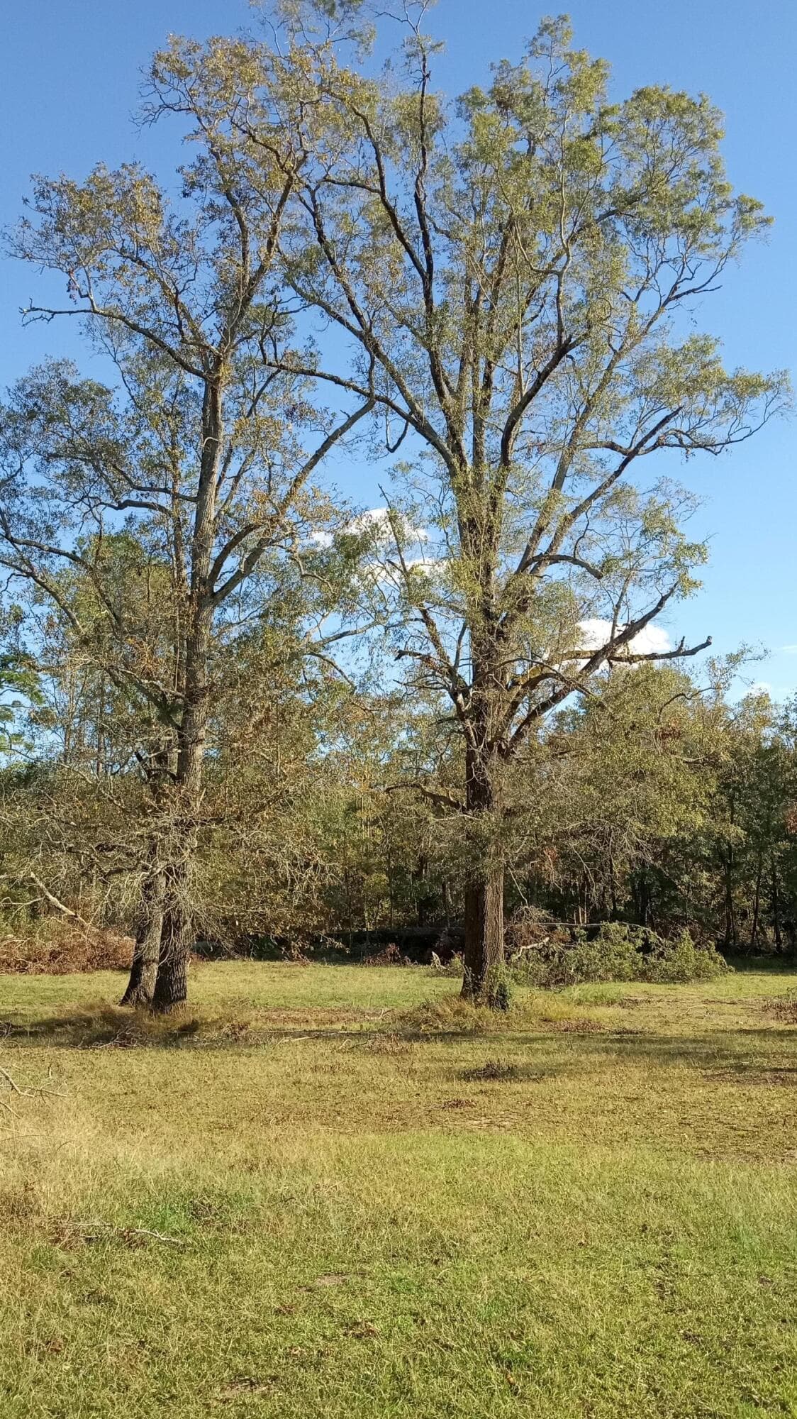 Undeveloped at Tbd2 Sc-23, Edgefield, SC 29824, photo 40 of 41