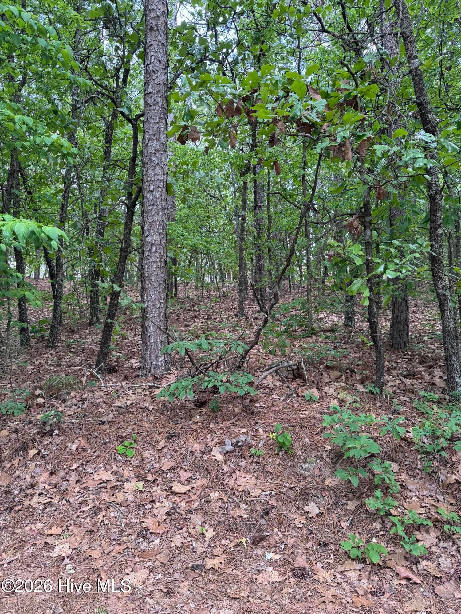 Residential Lot at 148 4177 Otter Drive, Seven Lakes, NC 27376, photo 5 of 7