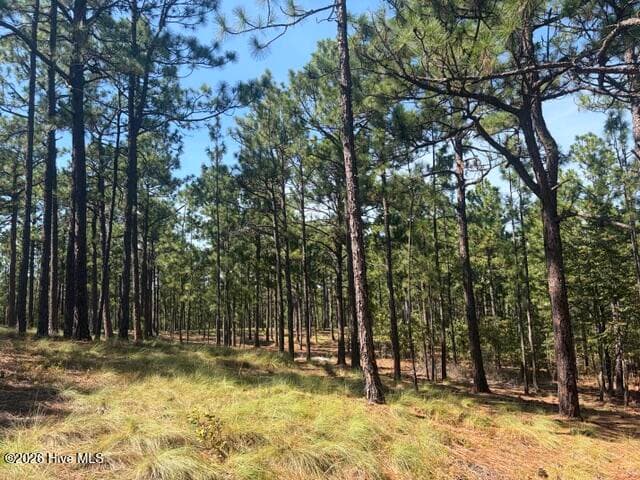 Wooded at Tbd Carthage Road, West End, NC 27376, photo 5 of 10