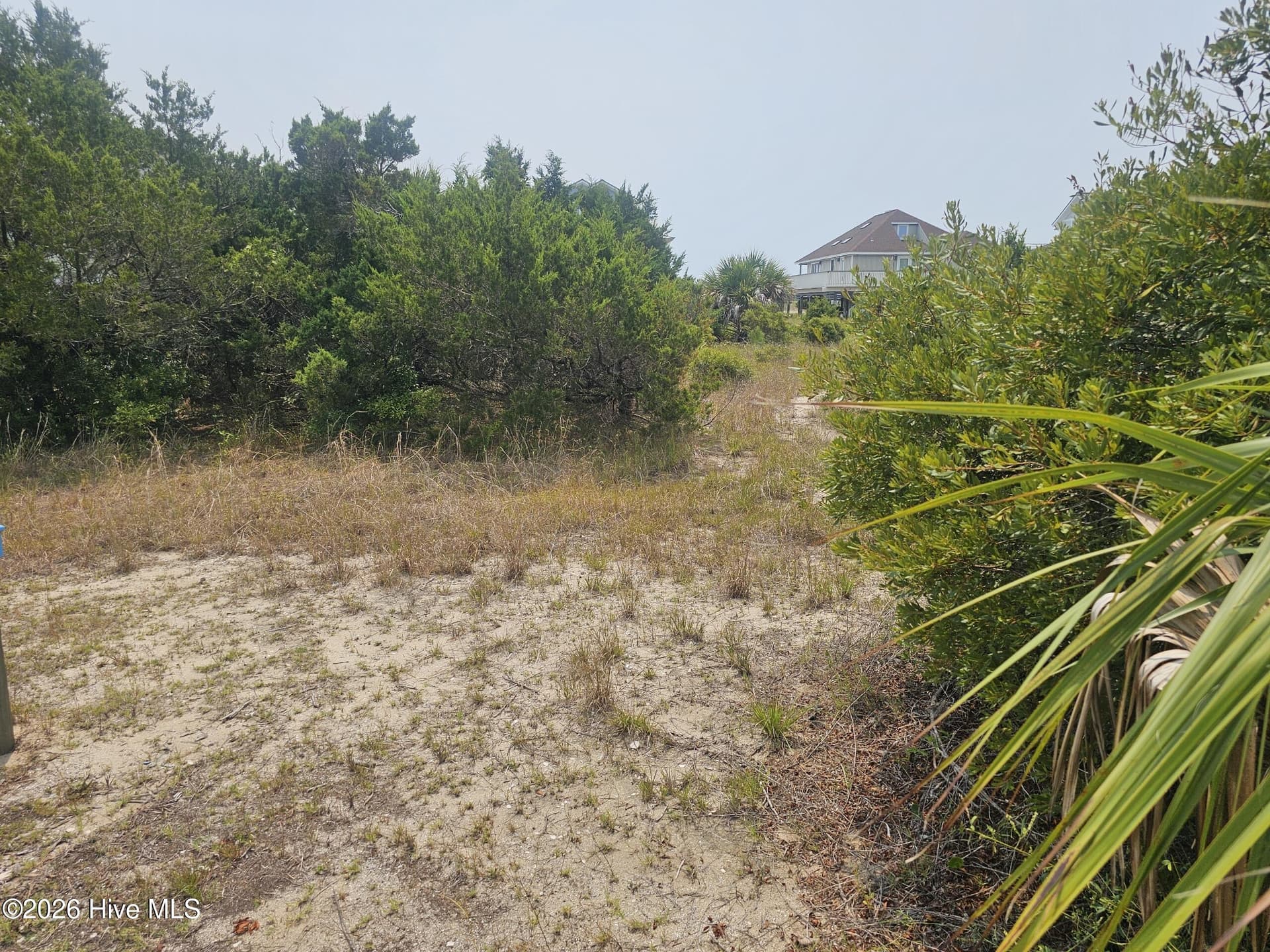 8 L-167 Black Skimmer Trail, Bald Head Island, NC 28461