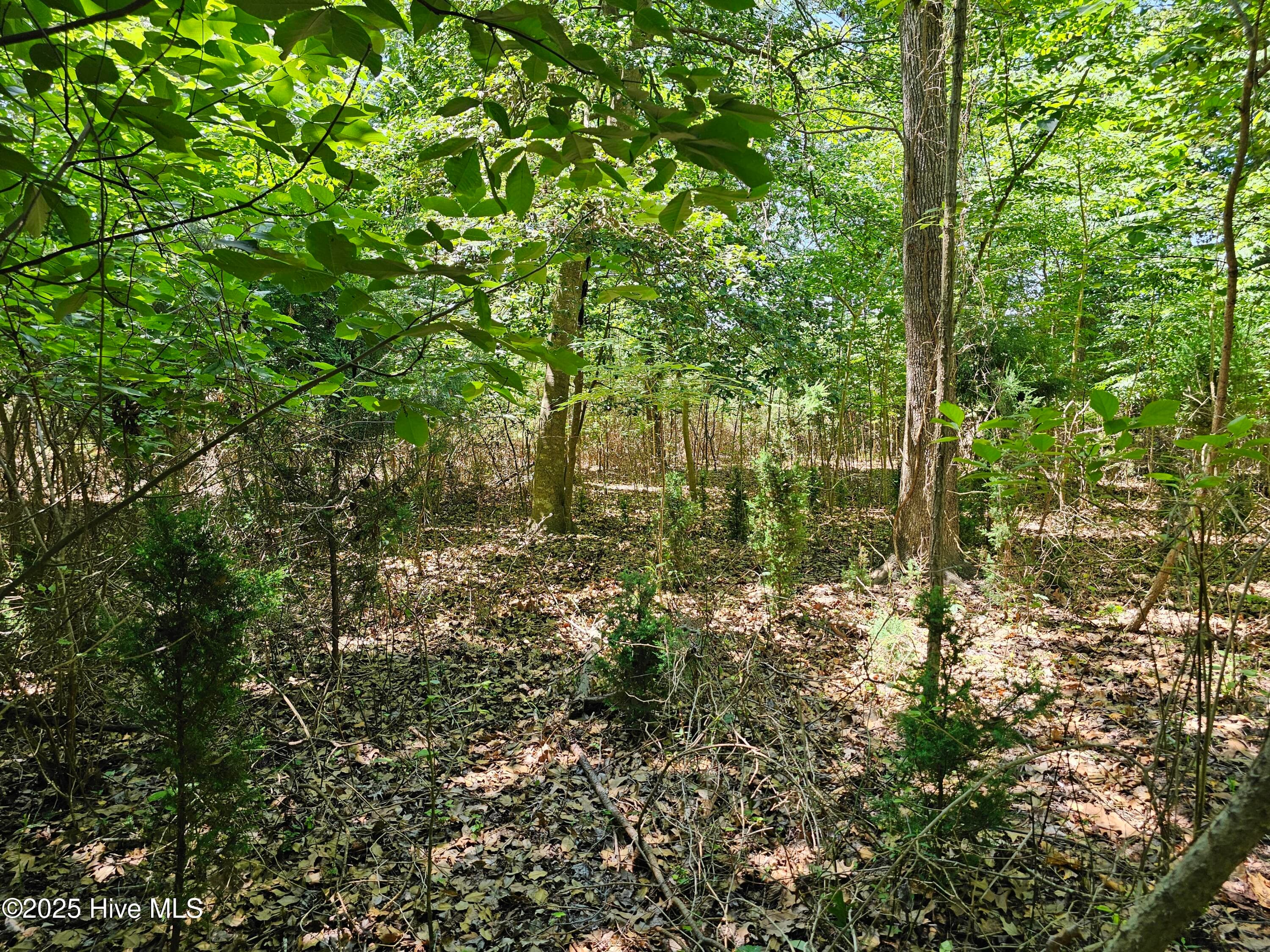 Residential Land at 10 10 Peninsula Shores Way, Hertford, NC 27944, Hertford, photo 13 of 18