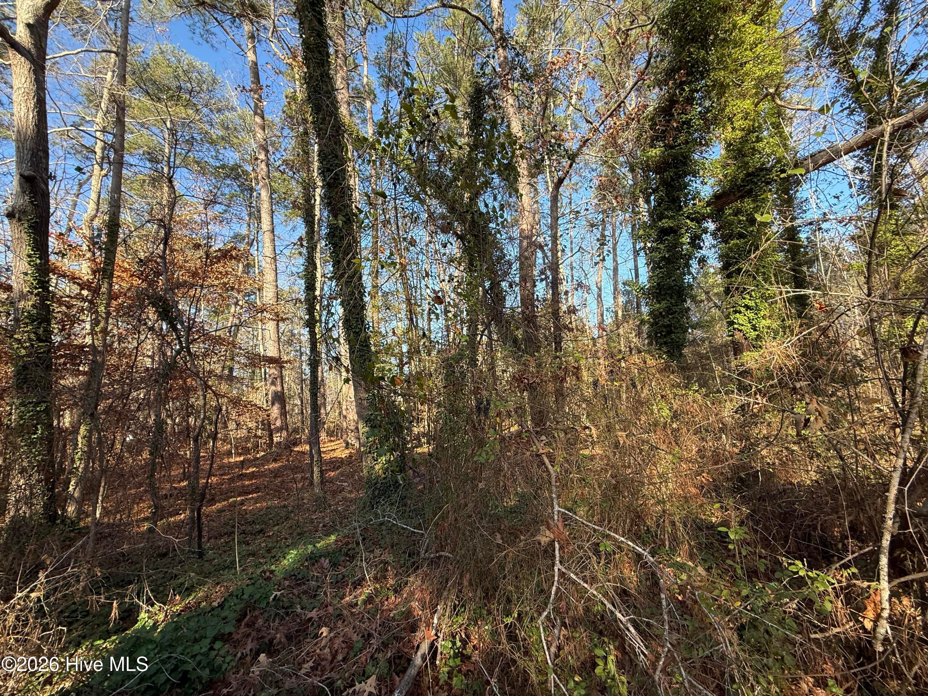 Wooded at 0 Alexander Lane, Williamston, NC 27892, photo 11 of 11