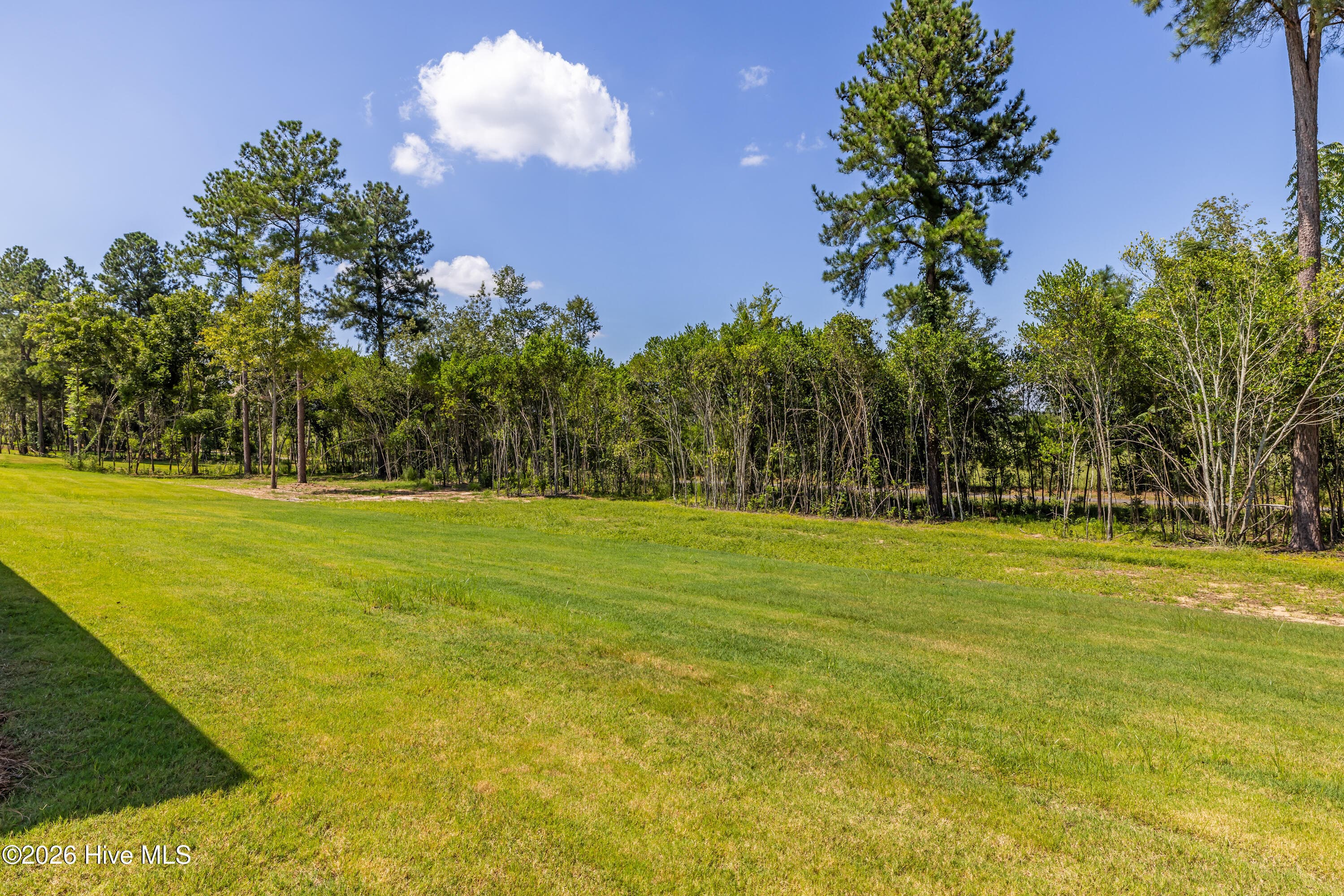 Large lot! 0.69 acre - 1550 Bellingham Drive, Beech Island, SC 29842