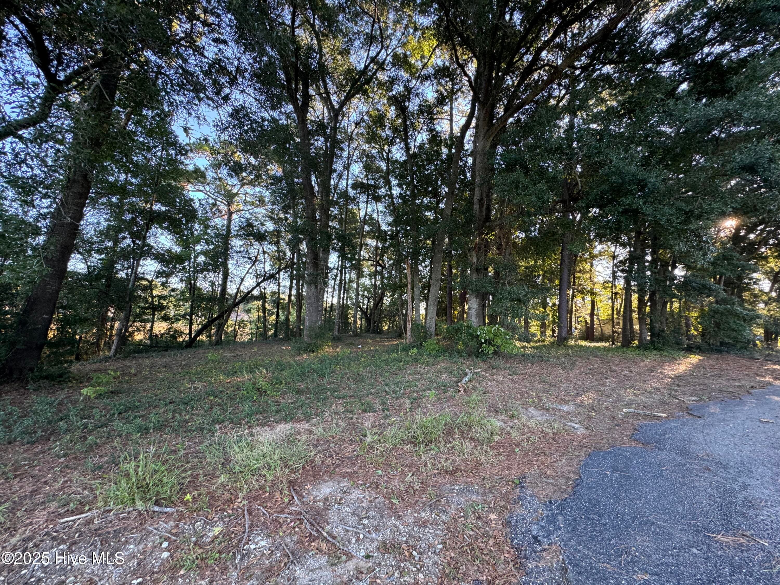 Residential Lot at 594 Medcalf Drive SW, Sunset Beach, NC 28468, photo 3 of 7