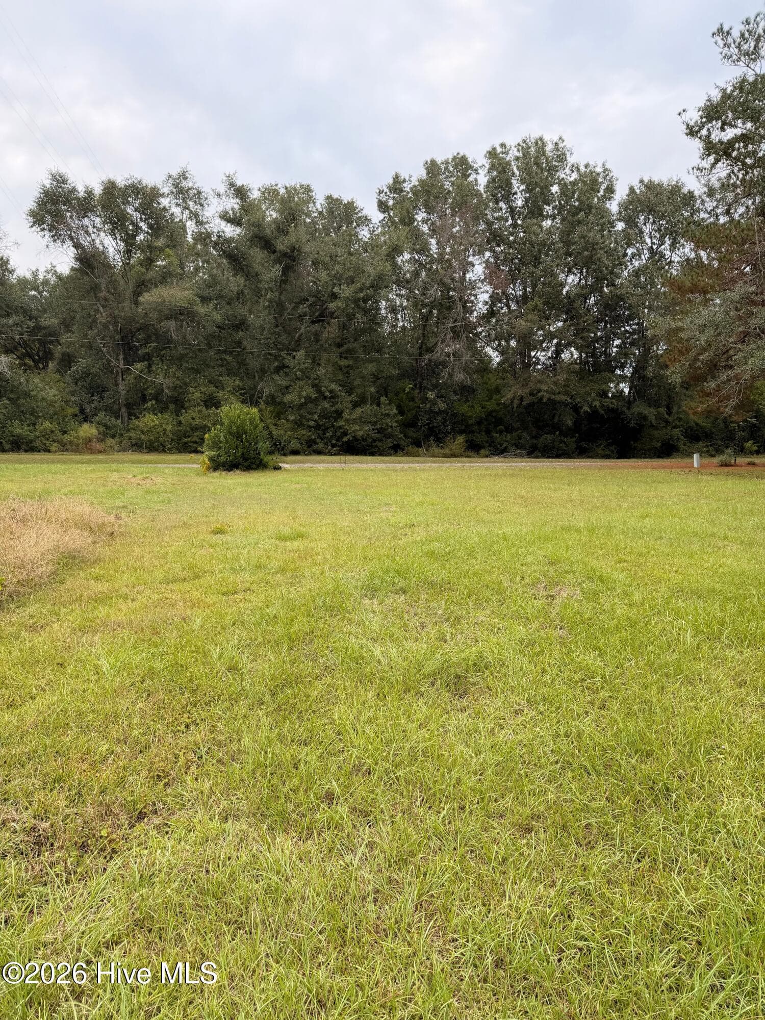 Residential Lot at 0 Mary Street, Midville, GA 30441, photo 2 of 4
