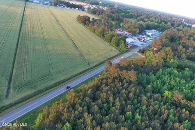 Unimproved Land at 53 Nc Hwy 53, Burgaw, NC 28425, photo 3 of 11