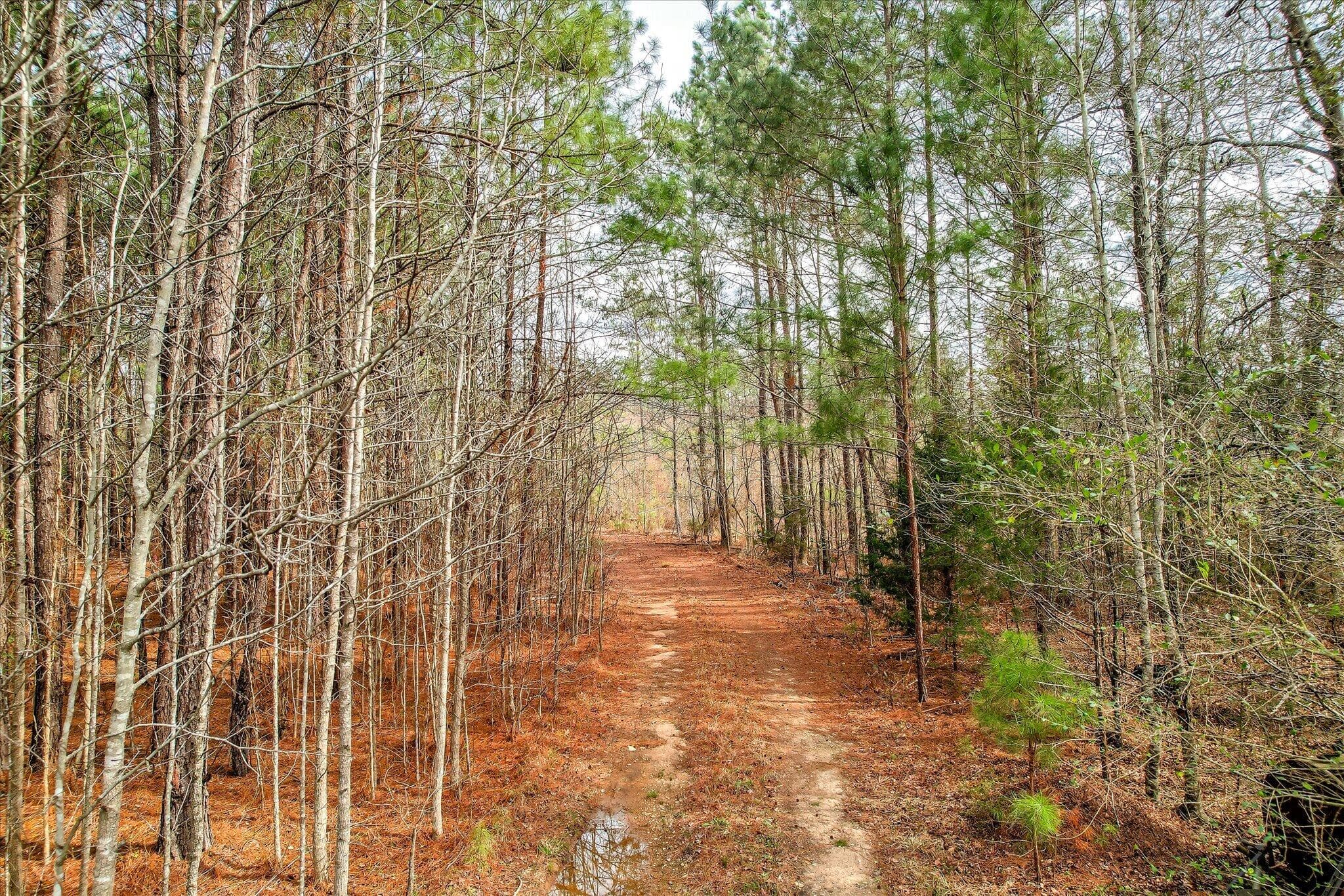Residential Lot at 0 Appling Harlem Road, Harlem, GA 30814, photo 2 of 6