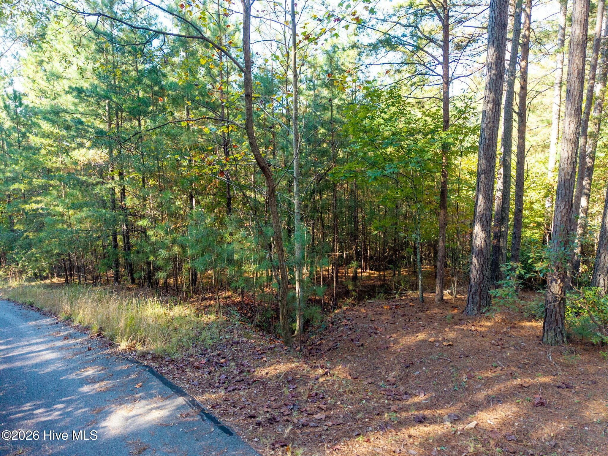 Residential Lot at Lot 11 Nature Trail, Murphy, NC 28906, photo 3 of 22