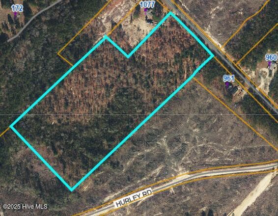 Wooded at 1035 Mill Road, Jackson Springs, NC 27281, photo 5 of 5