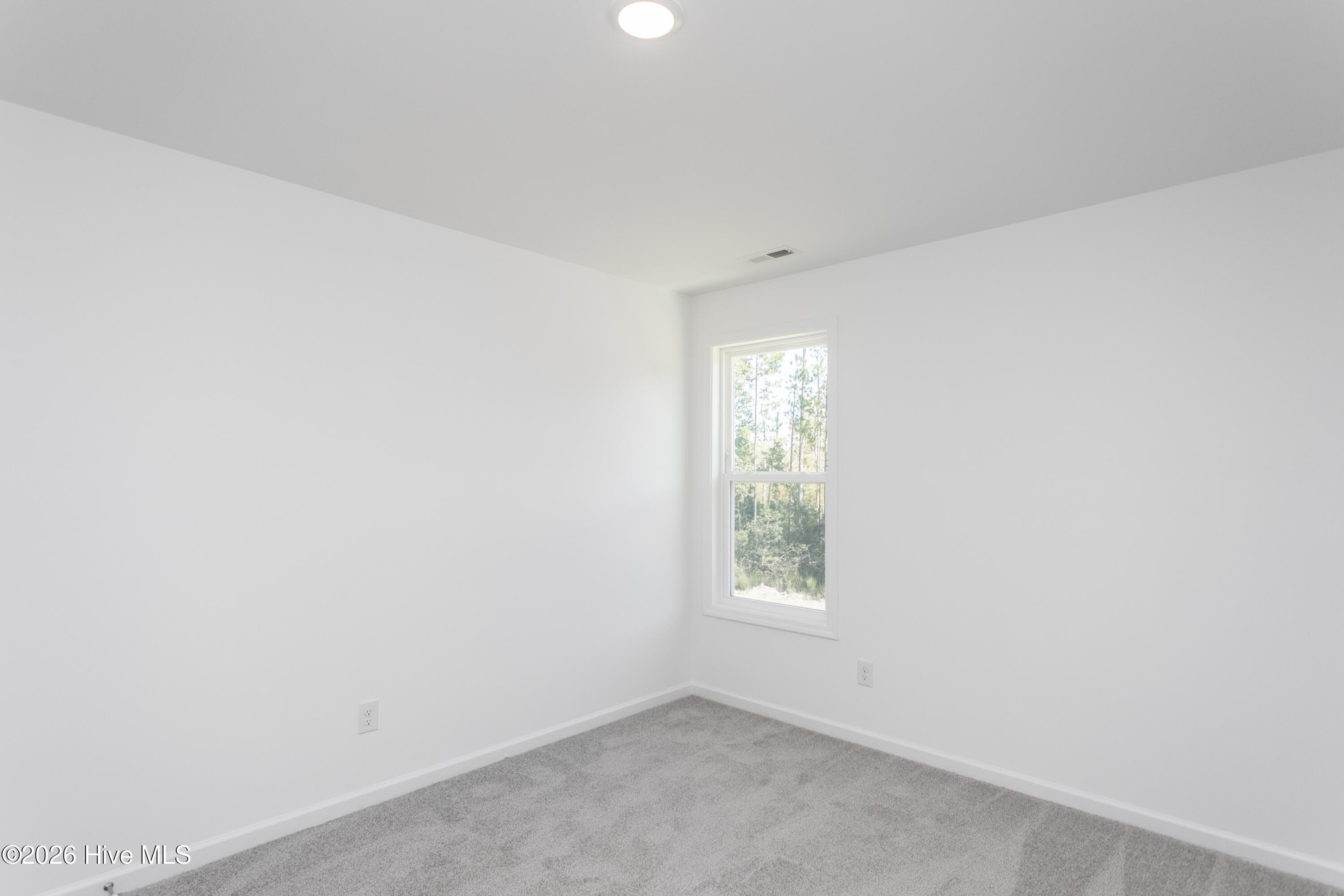 Representation - 2016 Red Woodpeckers Court Lot #35, Leland, NC 28451