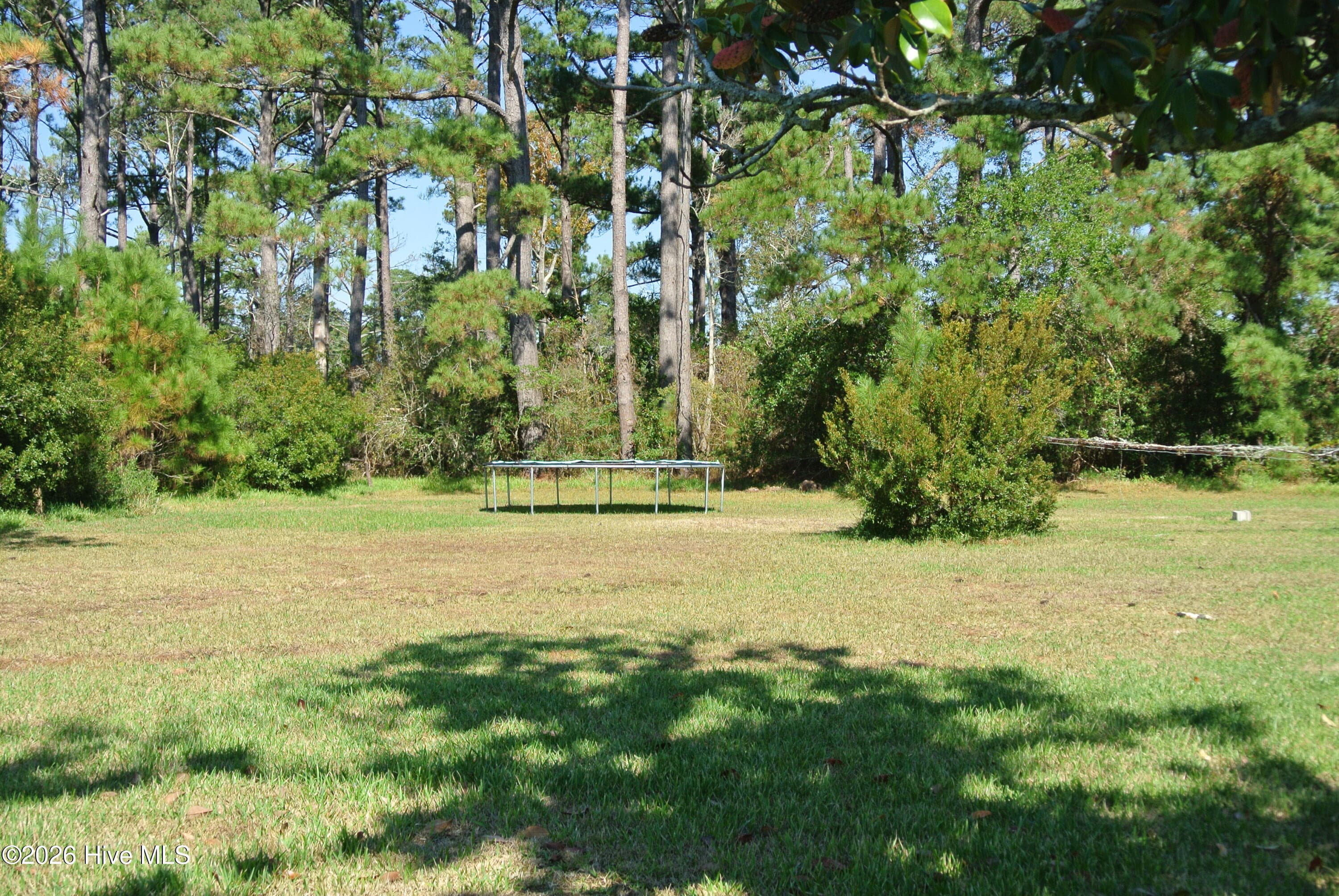 Single Family Residence at 153 Fulford Willis Road, Williston, NC 28579, photo 11 of 38