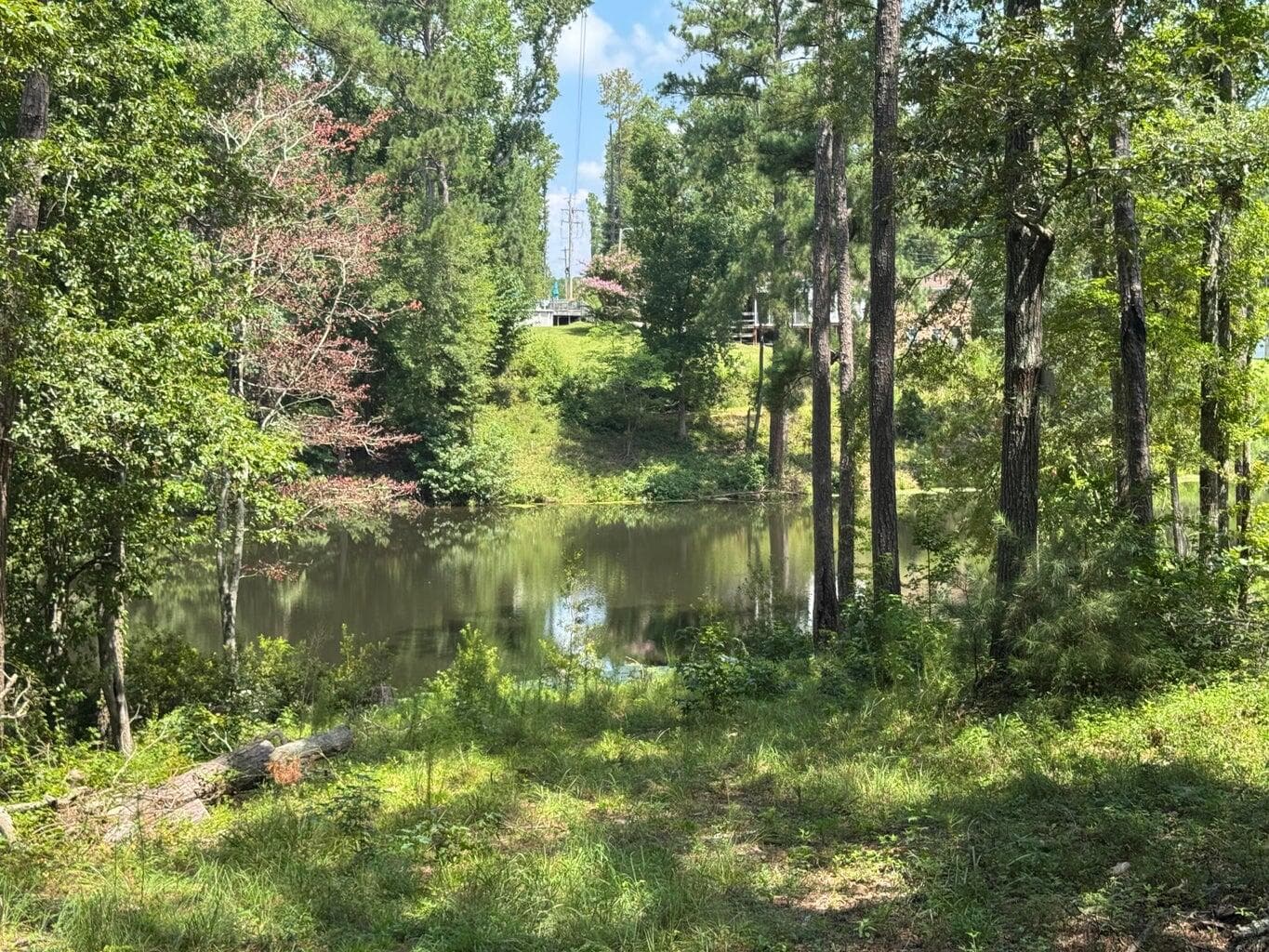 Residential Lot at 0 Hummingbird Drive, Trenton, SC 29847, photo 14 of 14