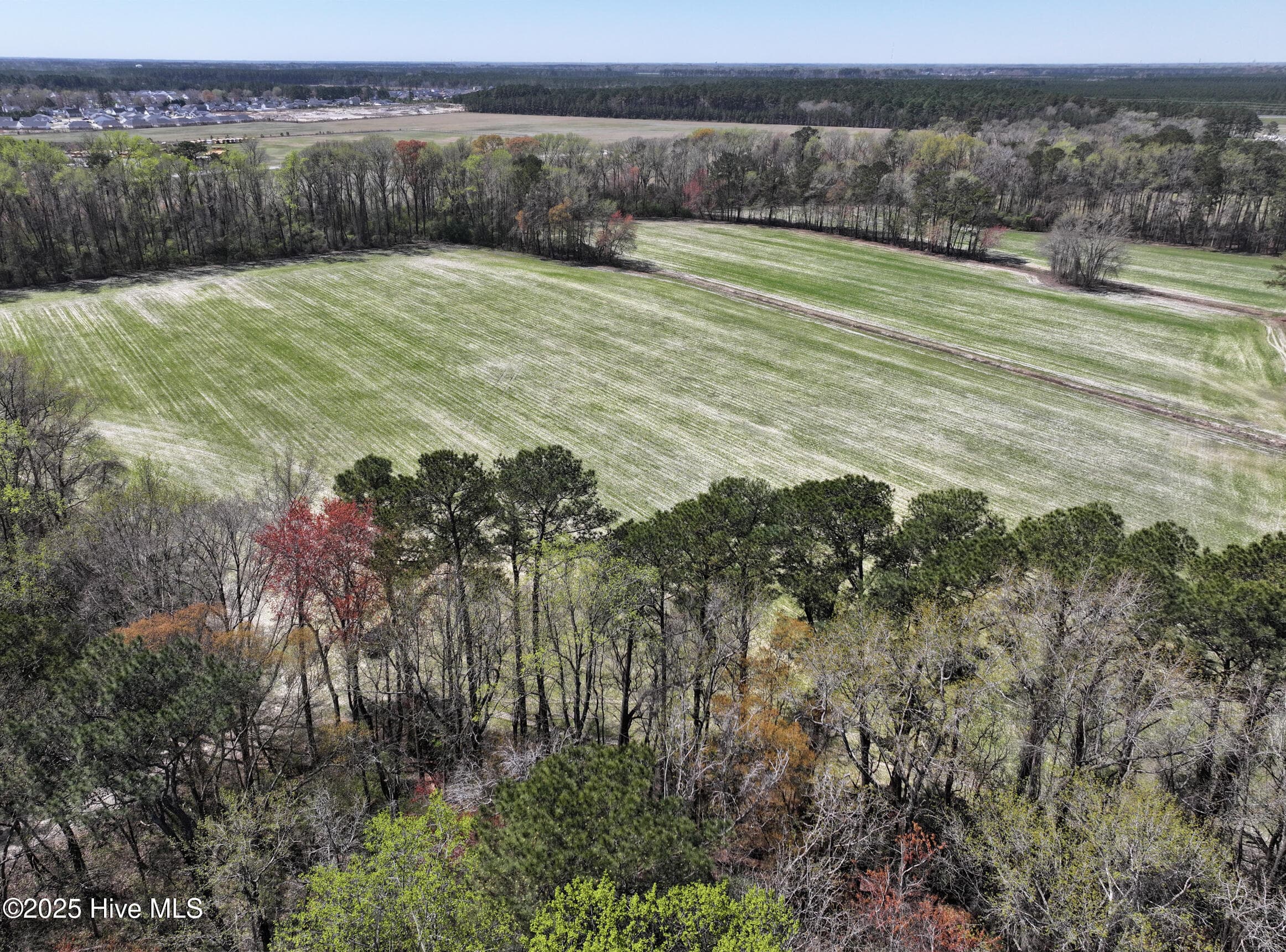 Undeveloped at 0 Allen Road, Greenville, NC 27834, photo 5 of 9