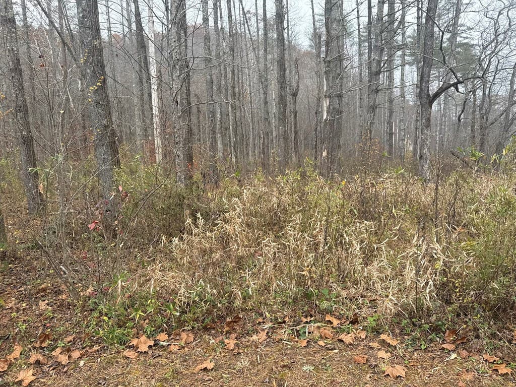 Residential Lot at 0 4, 5 Rushing Water Trail, Hayesville, NC 28904, Hayesville, photo 4 of 7