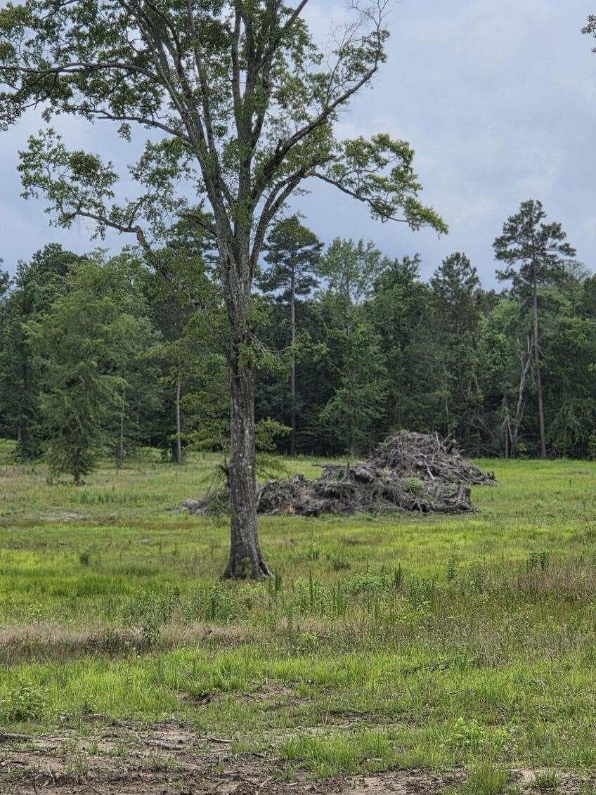 Residential Lot at 365 Shagbark Way, Harlem, GA 30814, photo 3 of 3