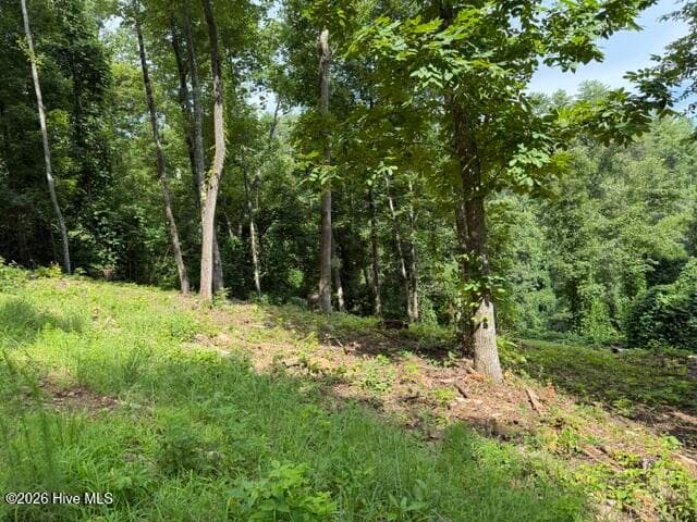 Residential Lot at Lot 25 25 Bryson Creek Drive, Murphy, NC 28906, photo 6 of 7