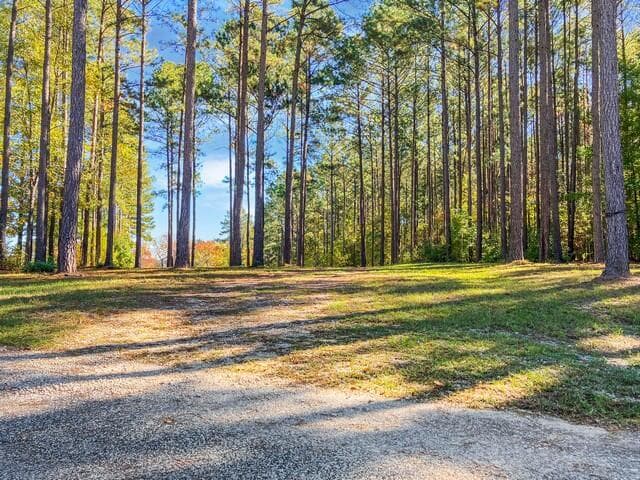 Residential Lot at 18 S Pointe Cove, Lincolnton, GA 30817, photo 8 of 15